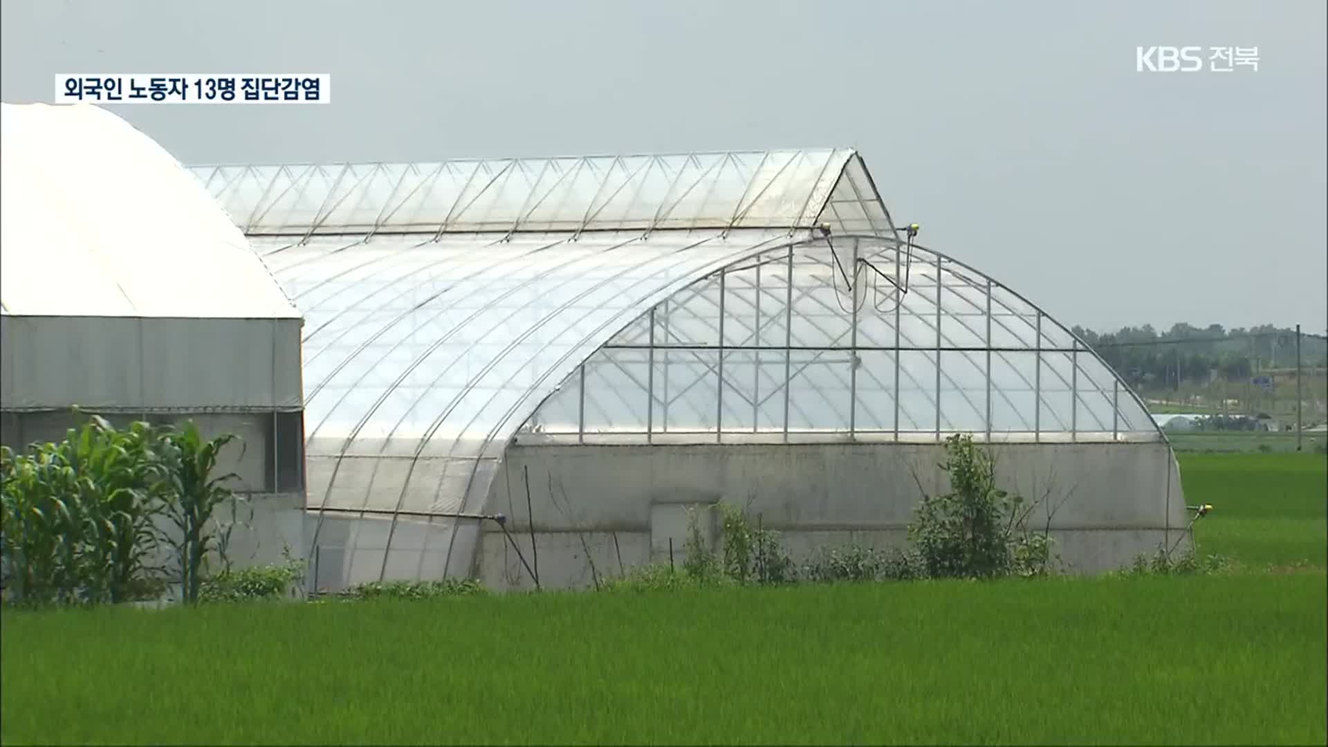 익산서 외국인 노동자 13명 집단감염…공동거주·작업 전파 추정