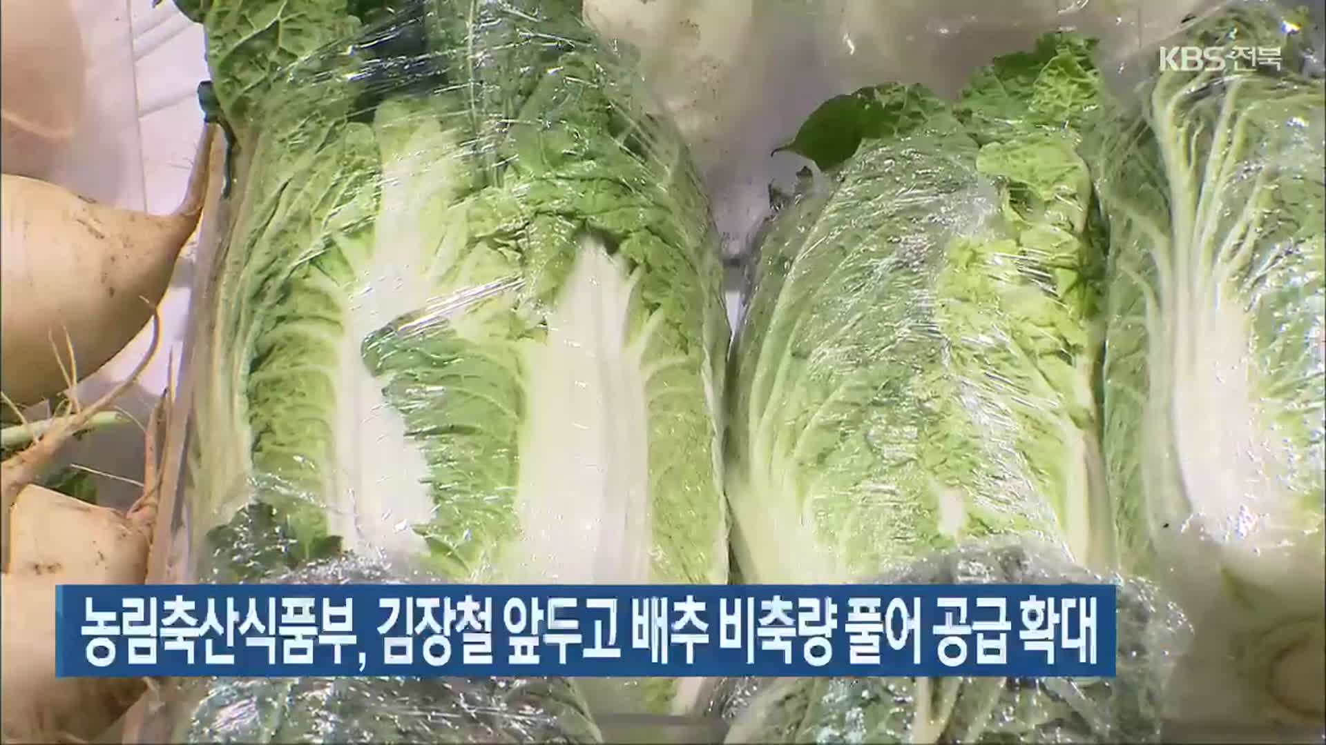 농림축산식품부, 김장철 앞두고 배추 비축량 풀어 공급 확대