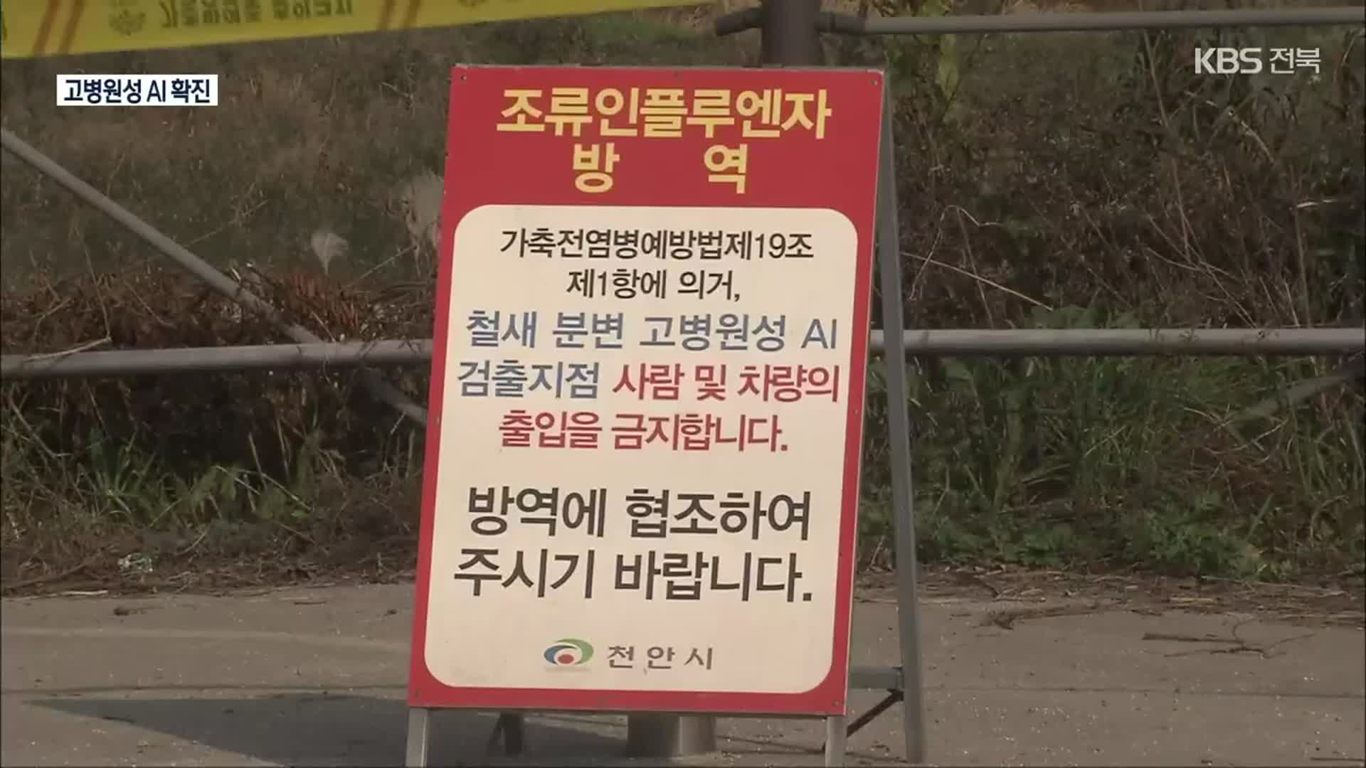 충남 천안서 철새 고병원성 AI 확진…농가 방역 비상