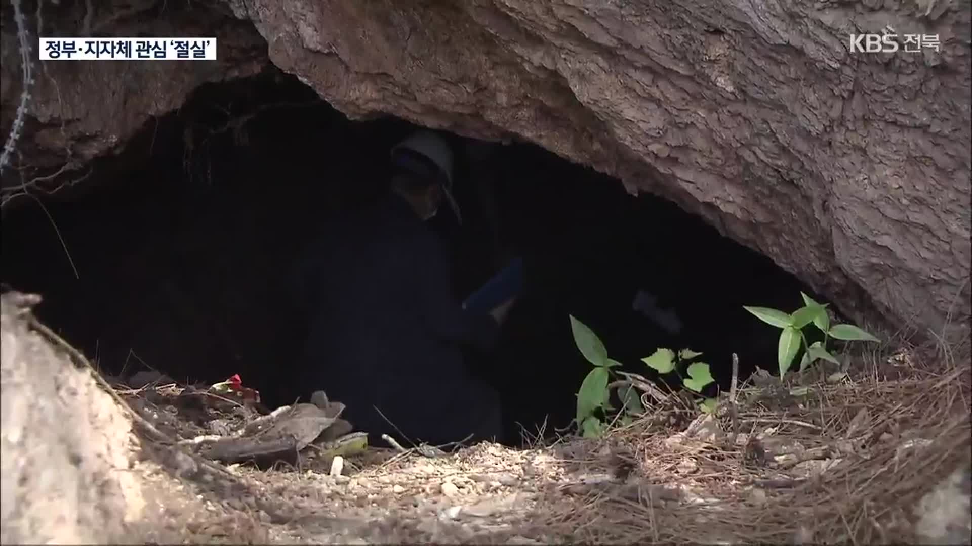 군산대서 발견된 인공동굴, 역사적 가치 조명 필요