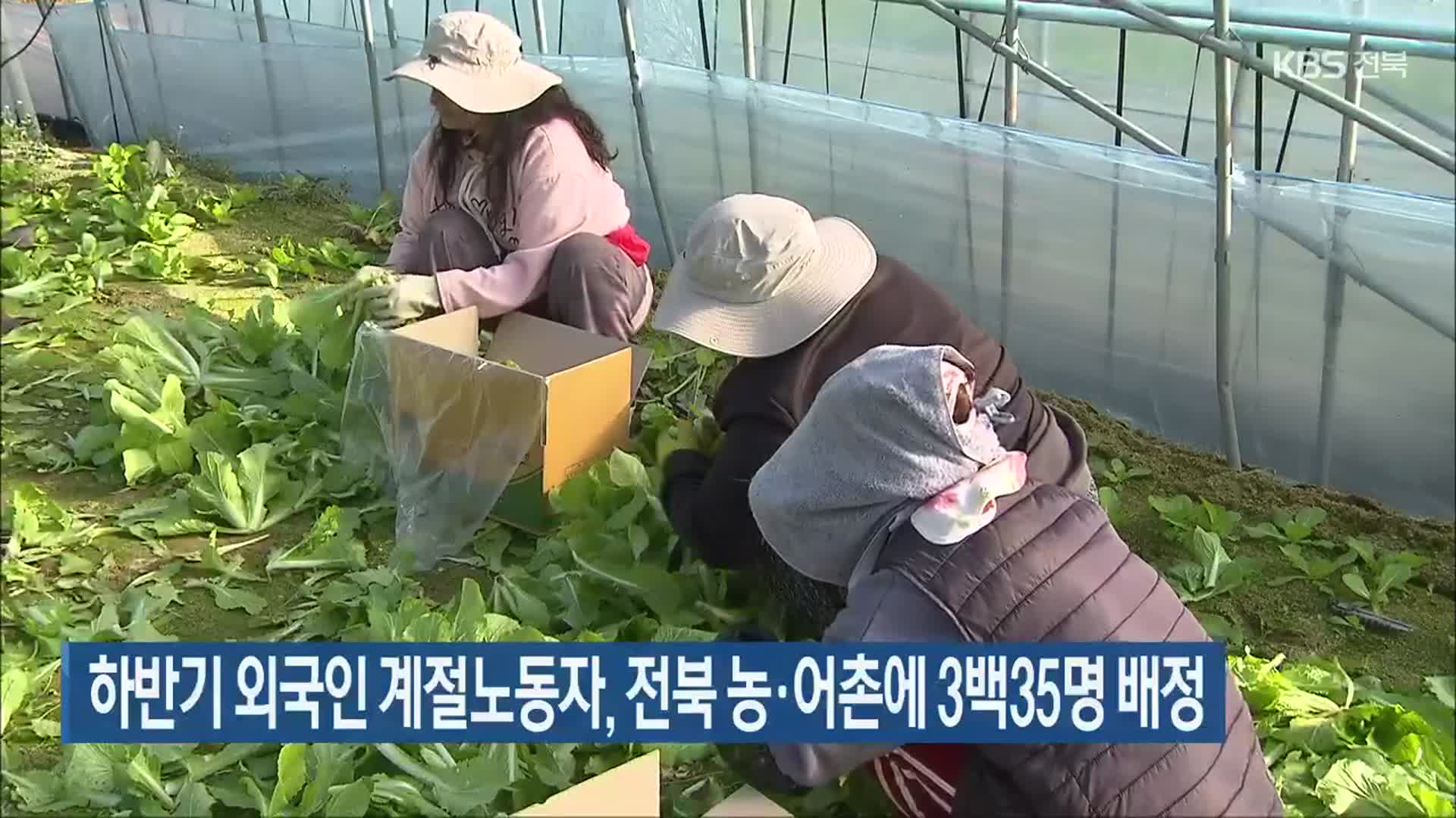 하반기 외국인 계절노동자, 전북 농·어촌에 335명 배정