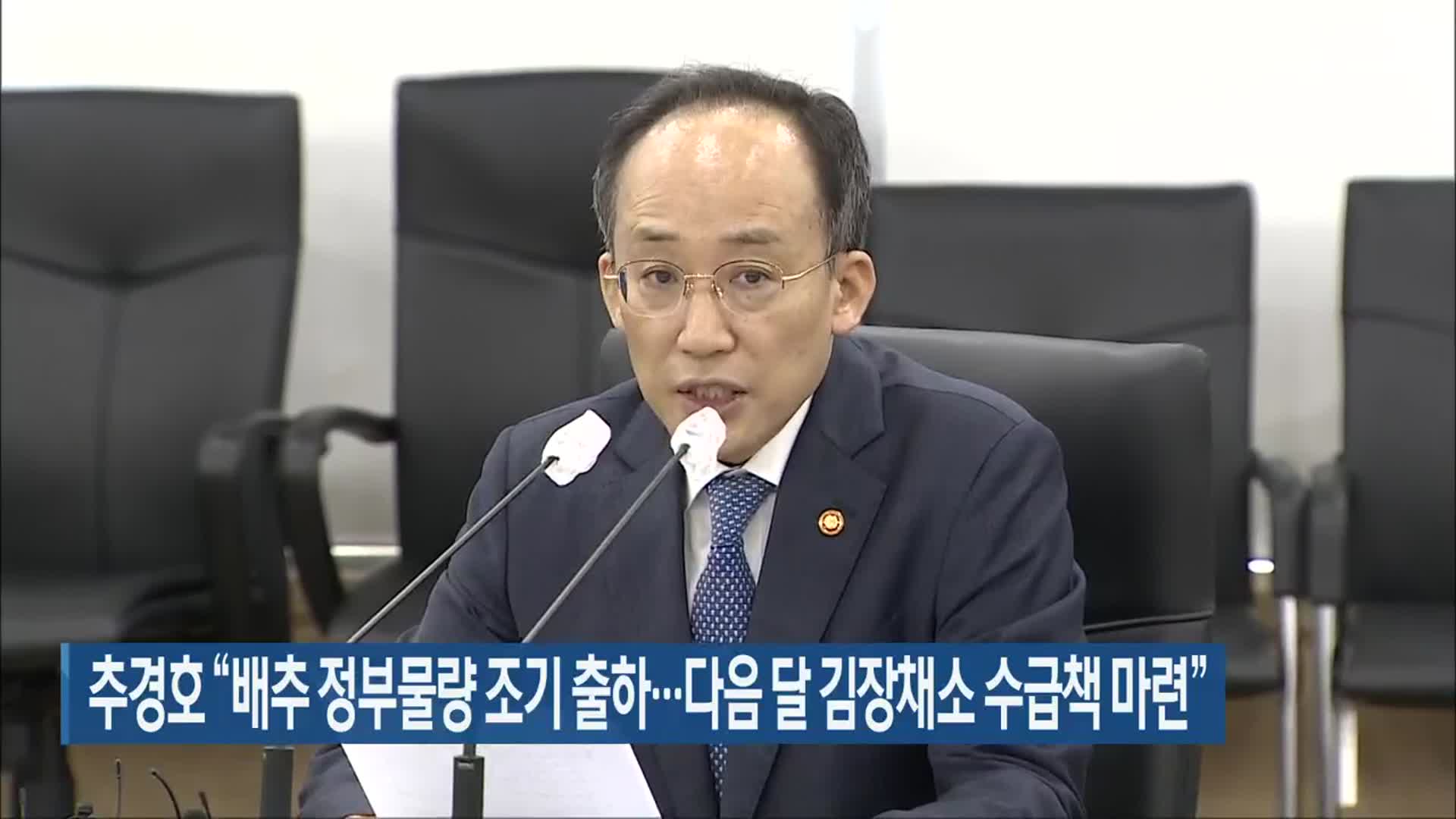 추경호 “배추 정부물량 조기 출하…다음 달 김장채소 수급책 마련”