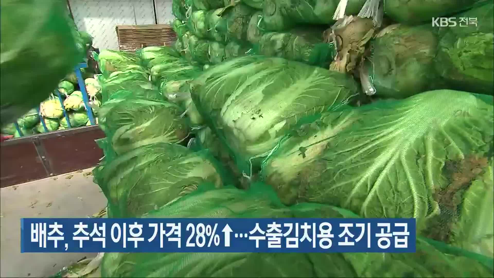 배추, 추석 이후 가격 28%↑…수출김치용 조기 공급