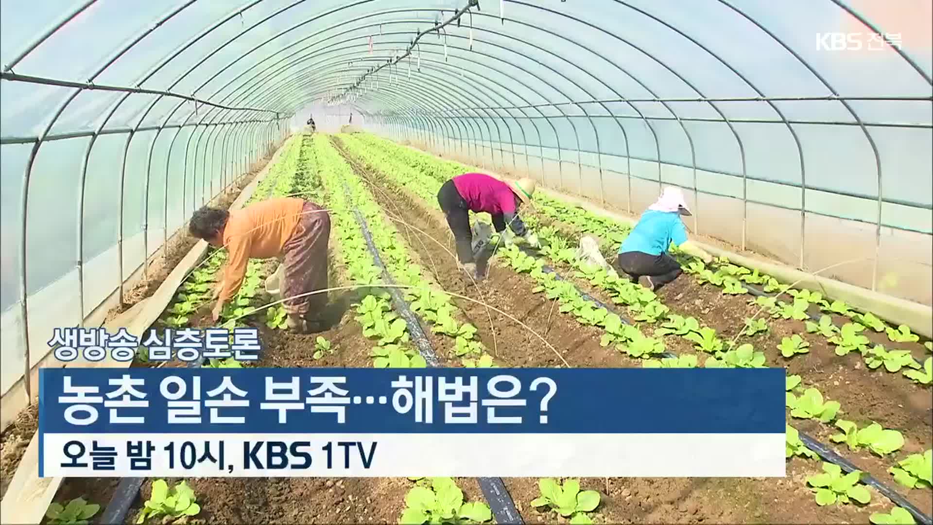 [생방송 심층토론] 농촌 일손 부족…해법은? 오늘 밤 10시 방송