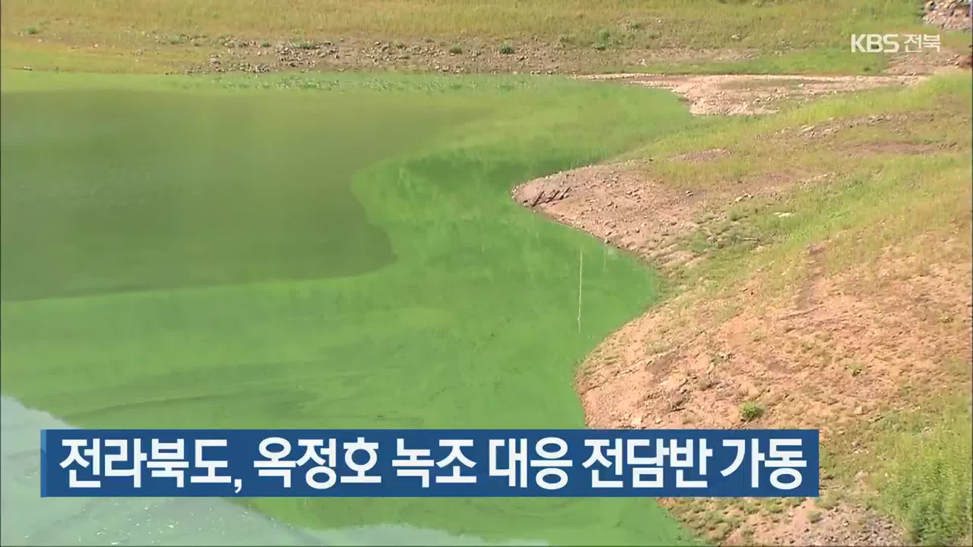 전라북도, 옥정호 녹조 대응 전담반 가동