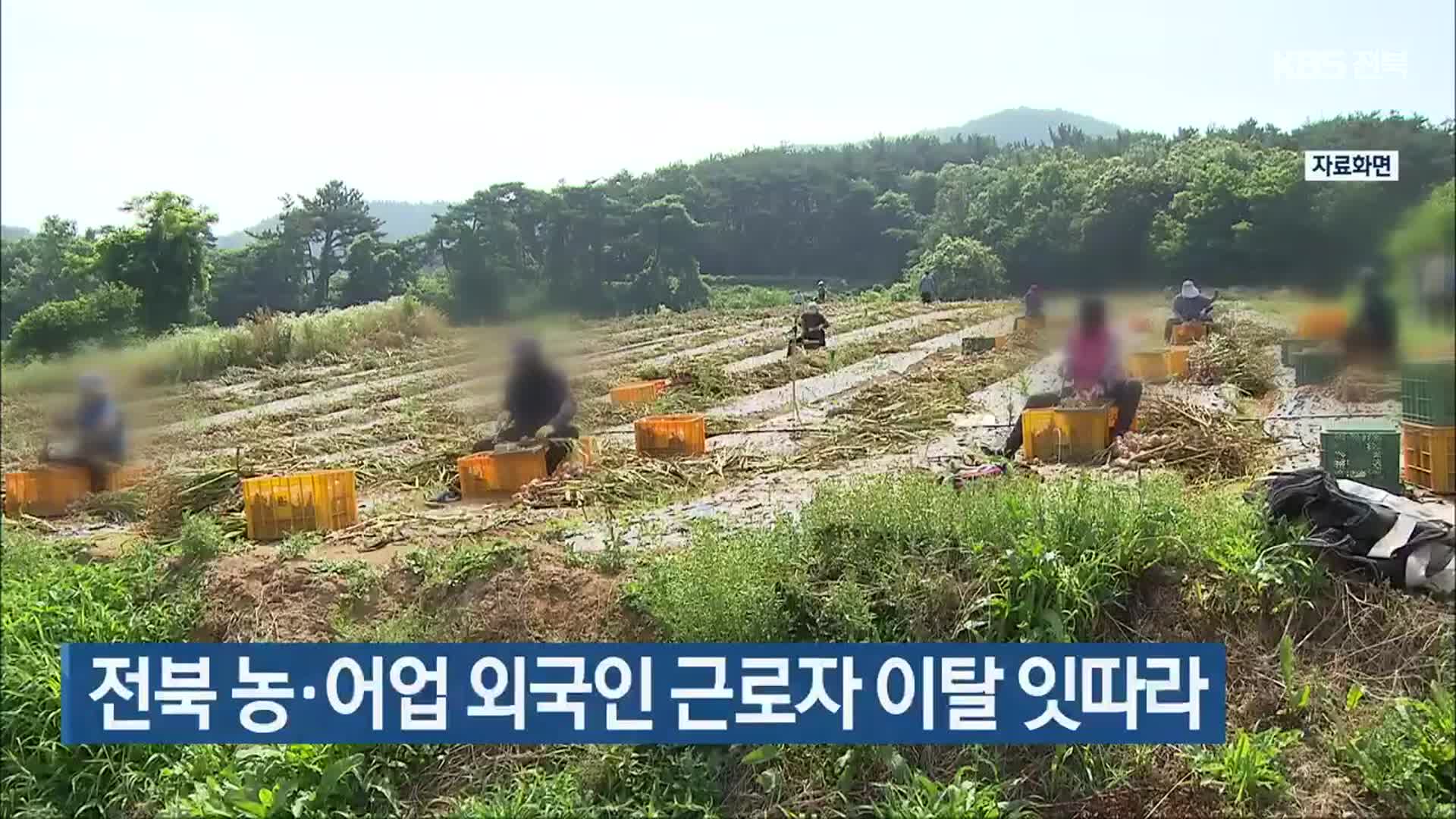 전북 농·어업 외국인 근로자 이탈 잇따라
