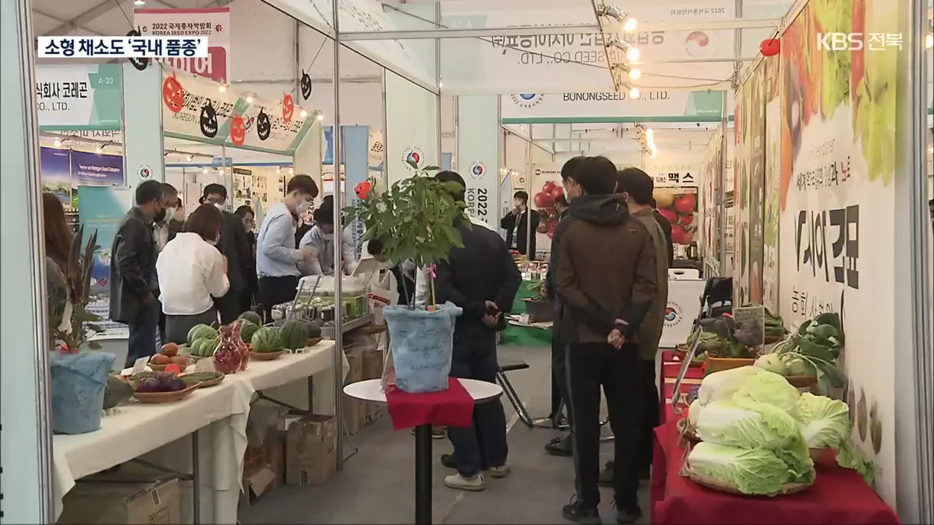 국내 유일 ‘종자박람회’…1인 가구 겨냥 K-종자 ‘눈길’