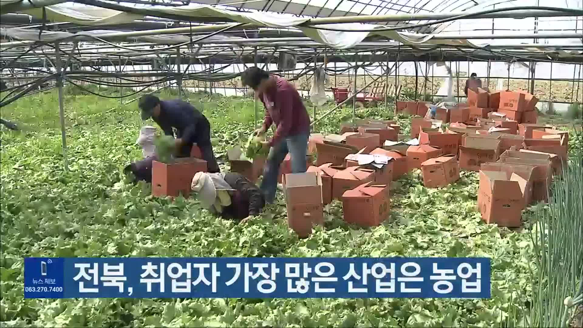 전북, 취업자 가장 많은 산업은 농업