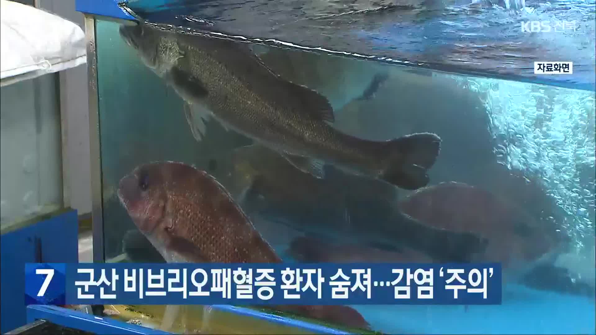 군산 비브리오패혈증 환자 숨져…감염 ‘주의’