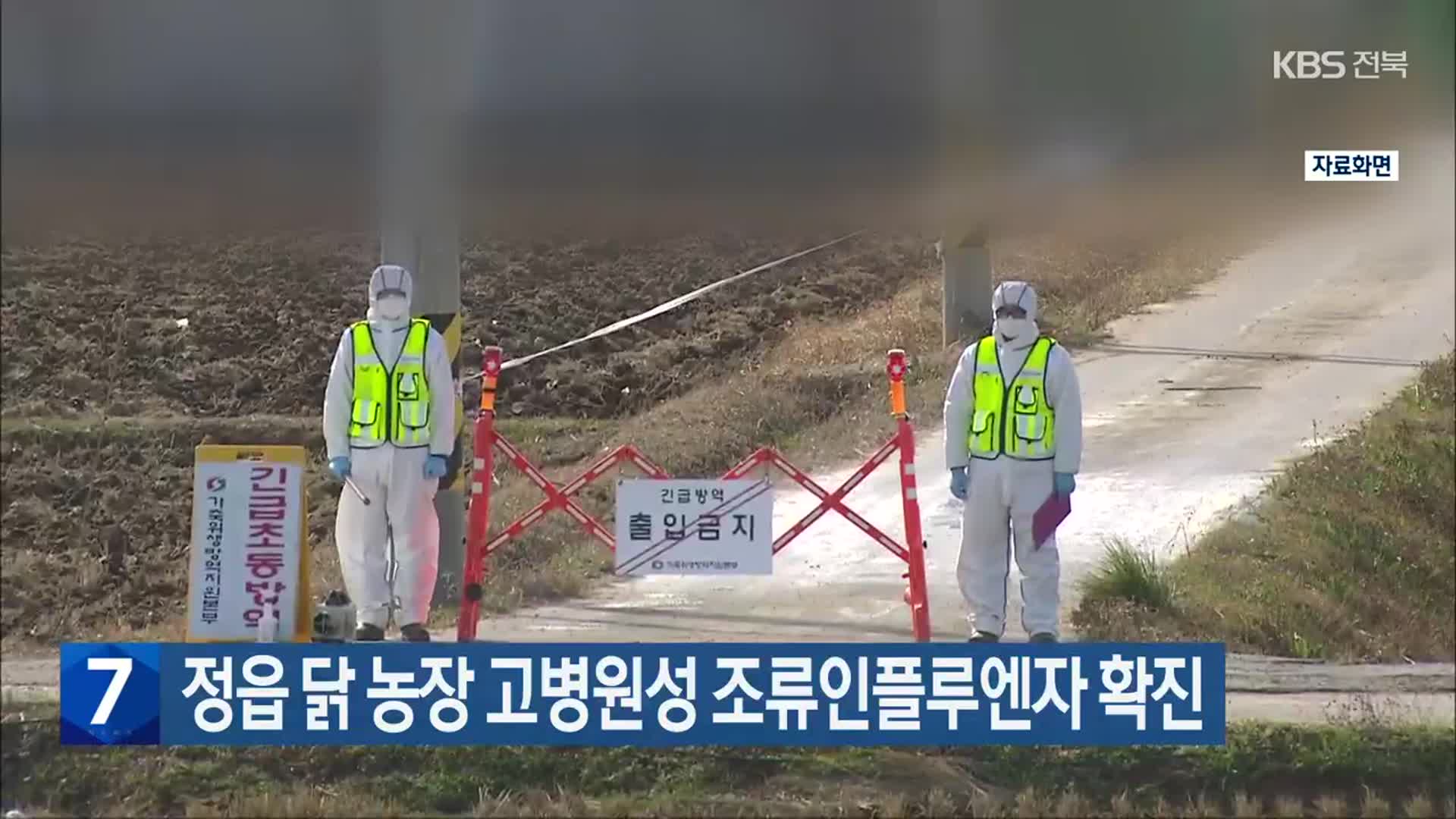 정읍 닭 농장 고병원성 조류인플루엔자 확진