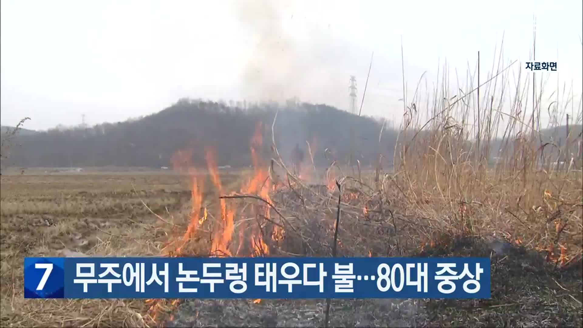 무주에서 논두렁 태우다 불…80대 중상