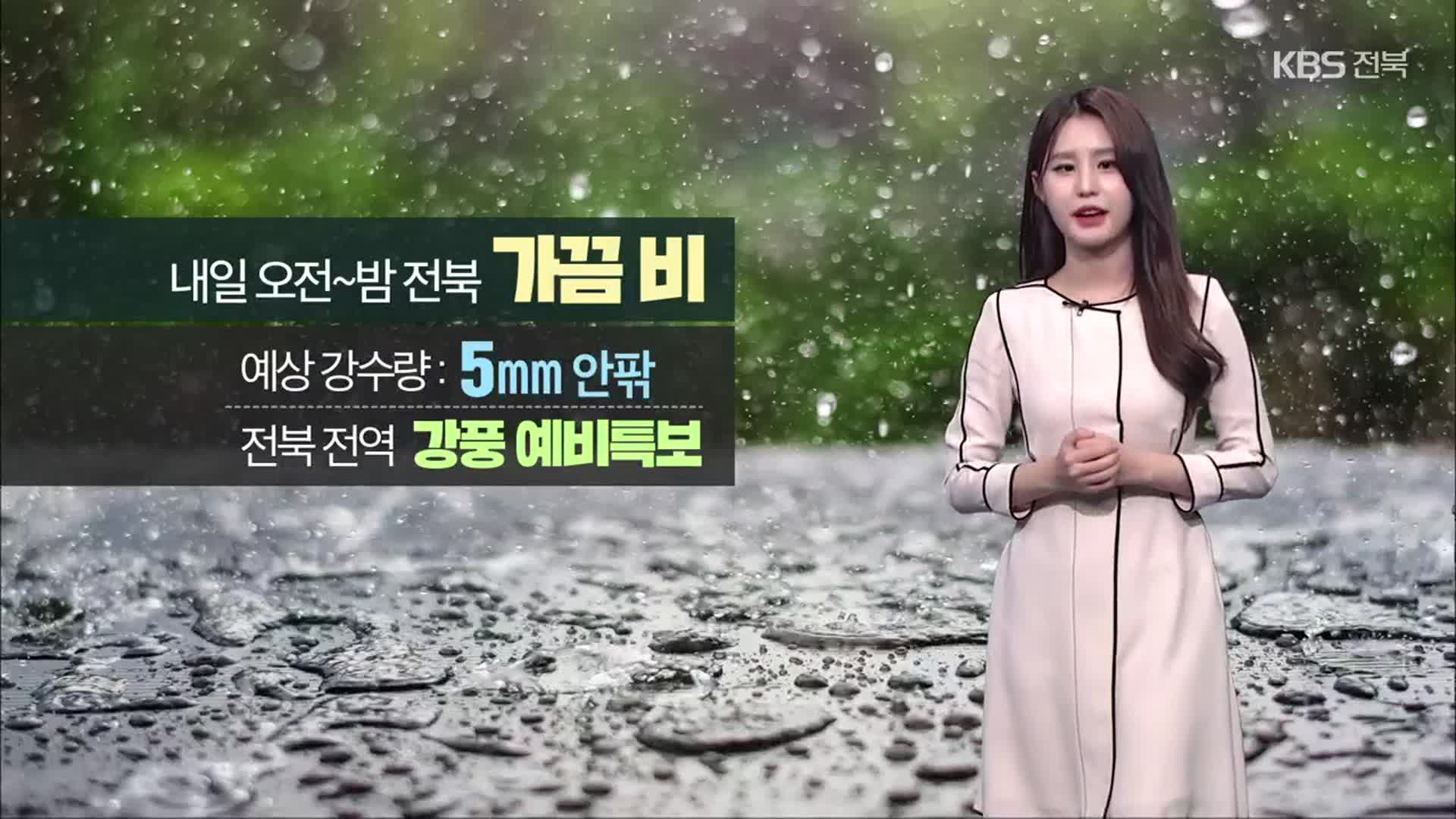 [날씨] 전북 내일 5mm 안팎 ‘황사비’…강풍 주의