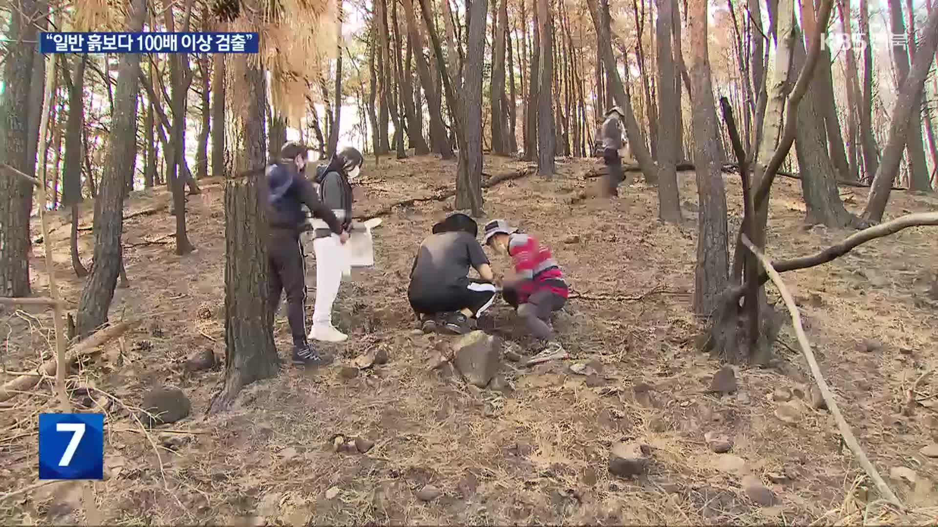 산불 피해지 토양에서 ‘발암물질’…“최대 100배 검출”