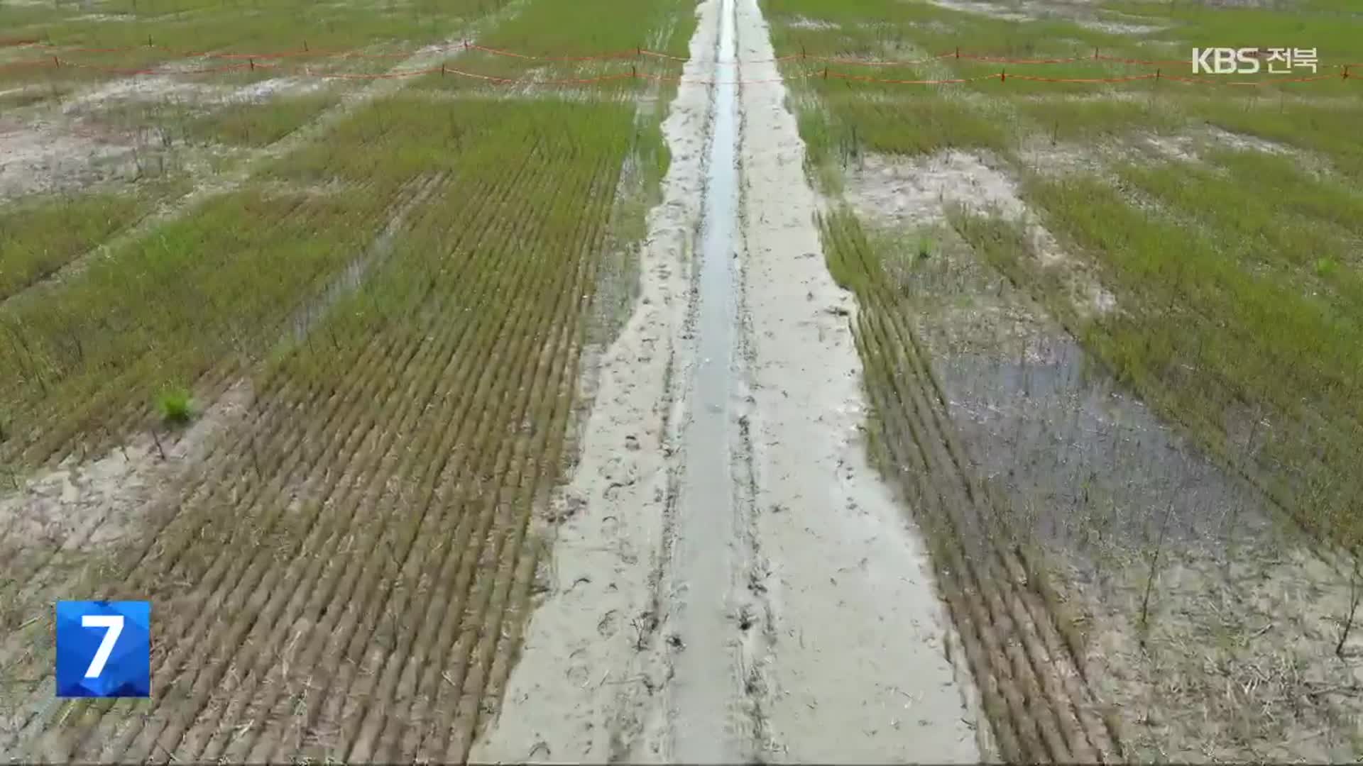 140mm 비에 잼버리 야영장 물바다…여름 폭우 어쩌나?