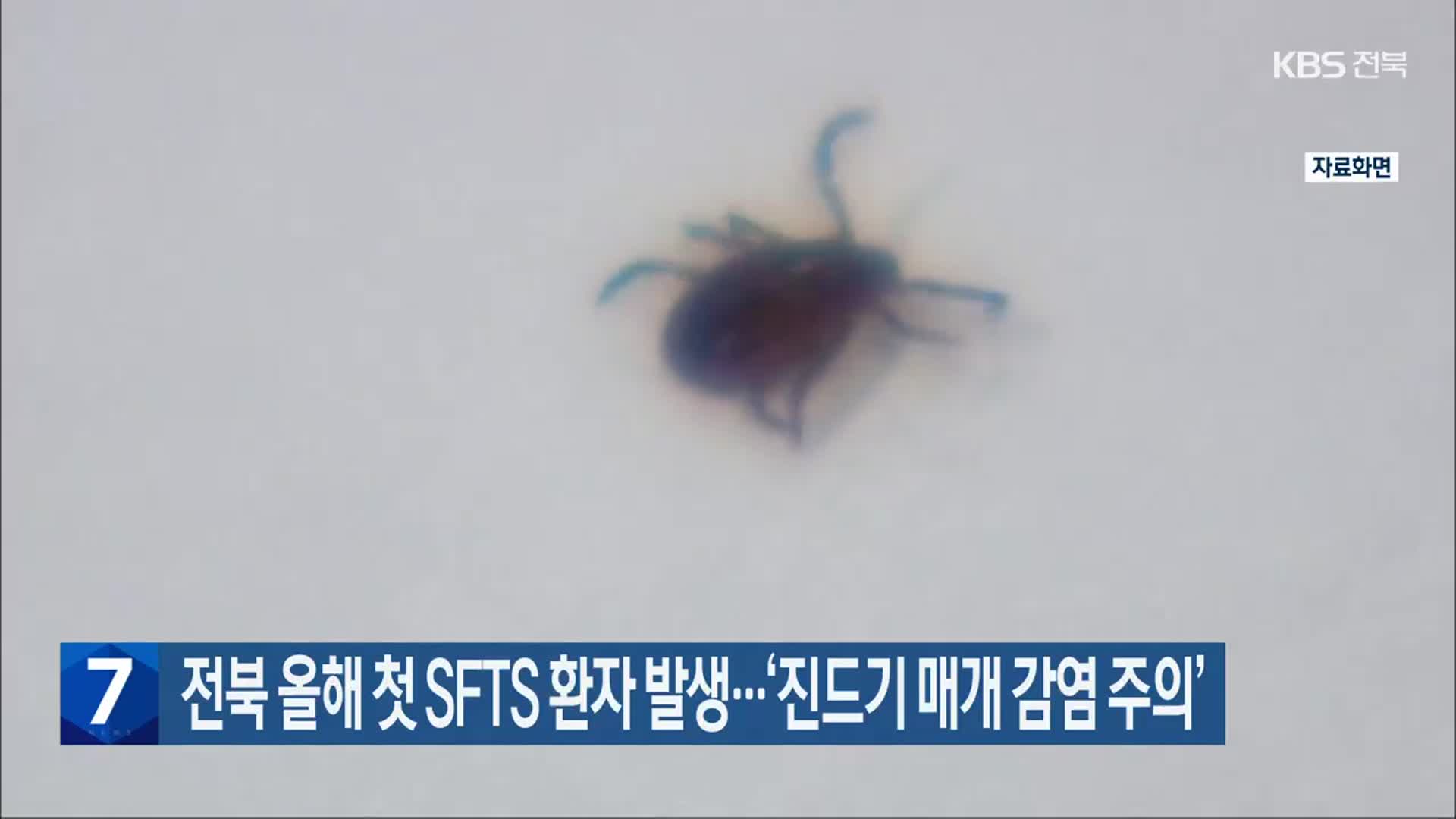 전북 올해 첫 SFTS 환자 발생…‘진드기 매개 감염 주의’