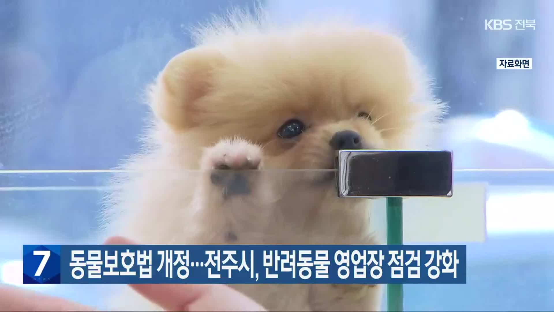 동물보호법 개정…전주시, 반려동물 영업장 점검 강화