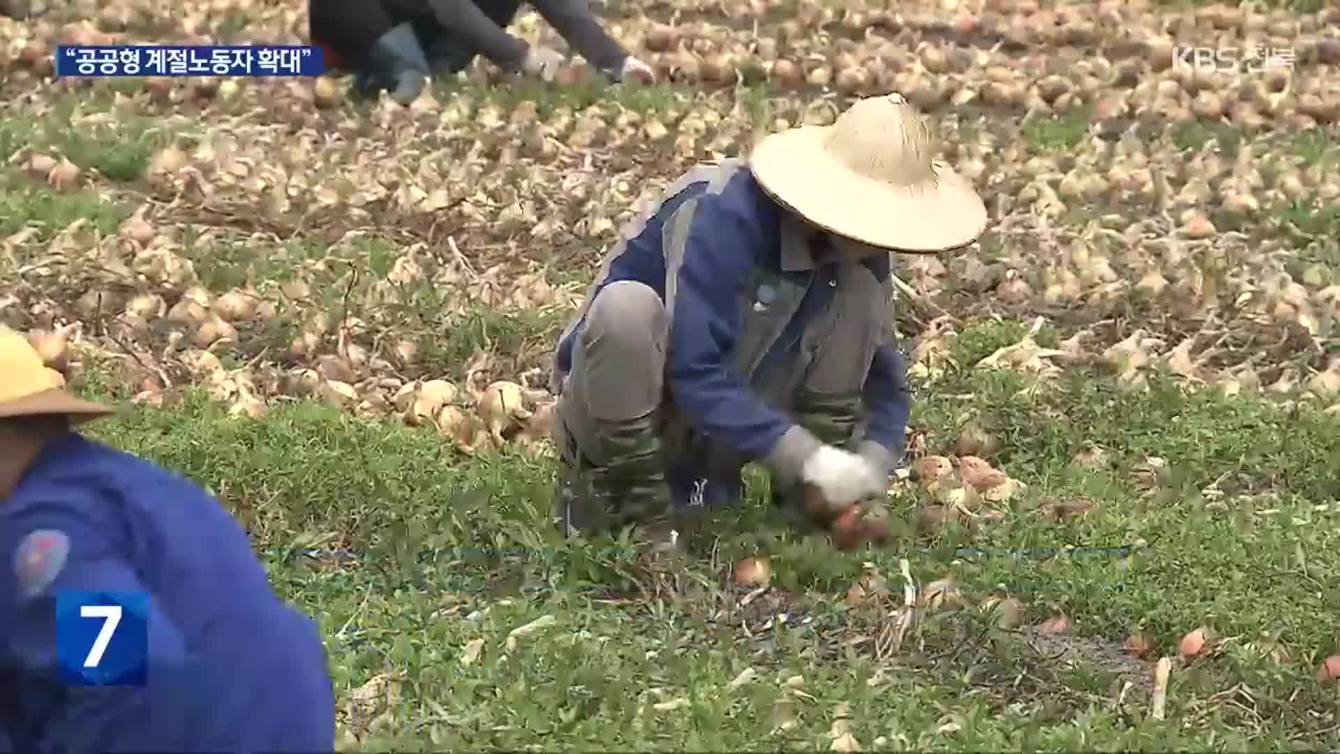 전북 농업 인력난…“‘공공형 계절노동자’로 활로”