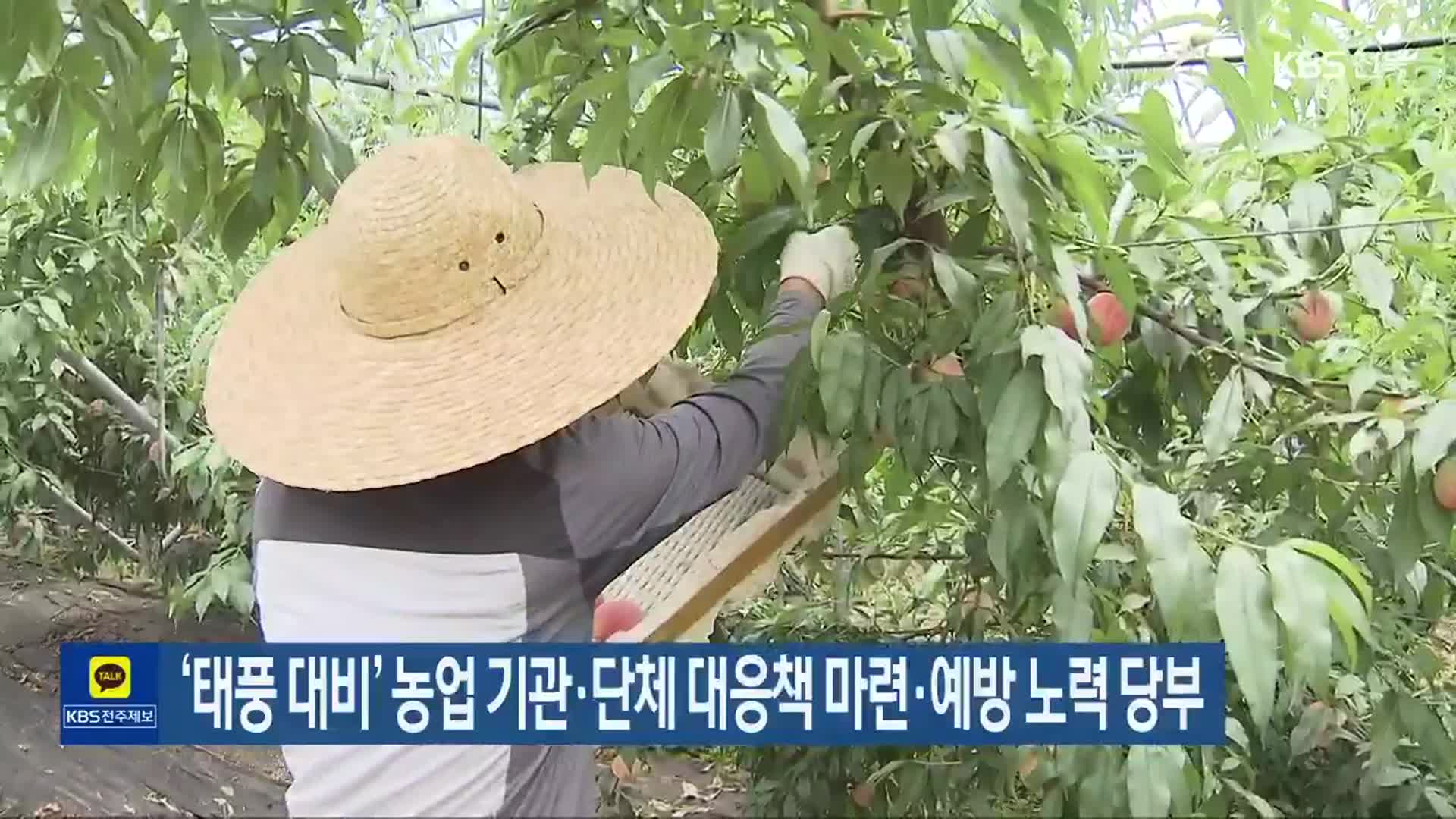 ‘태풍 대비’ 농업 기관·단체 대응책 마련·예방 노력 당부