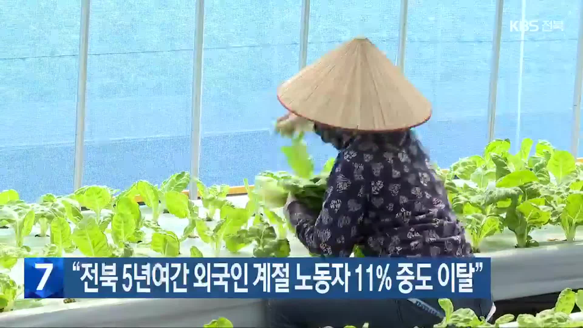 “전북 5년여간 외국인 계절 노동자 11% 중도 이탈”