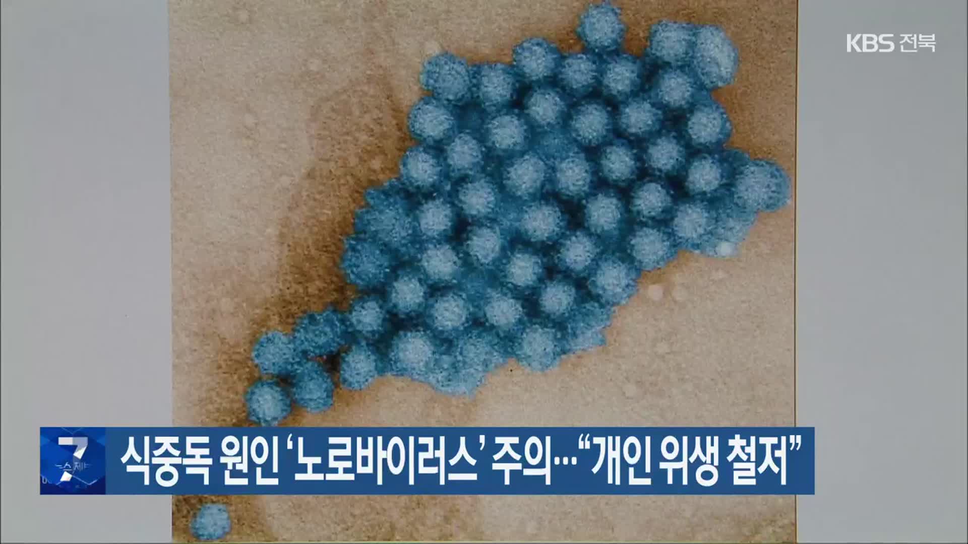 식중독 원인 ‘노로바이러스’ 주의…“개인 위생 철저”