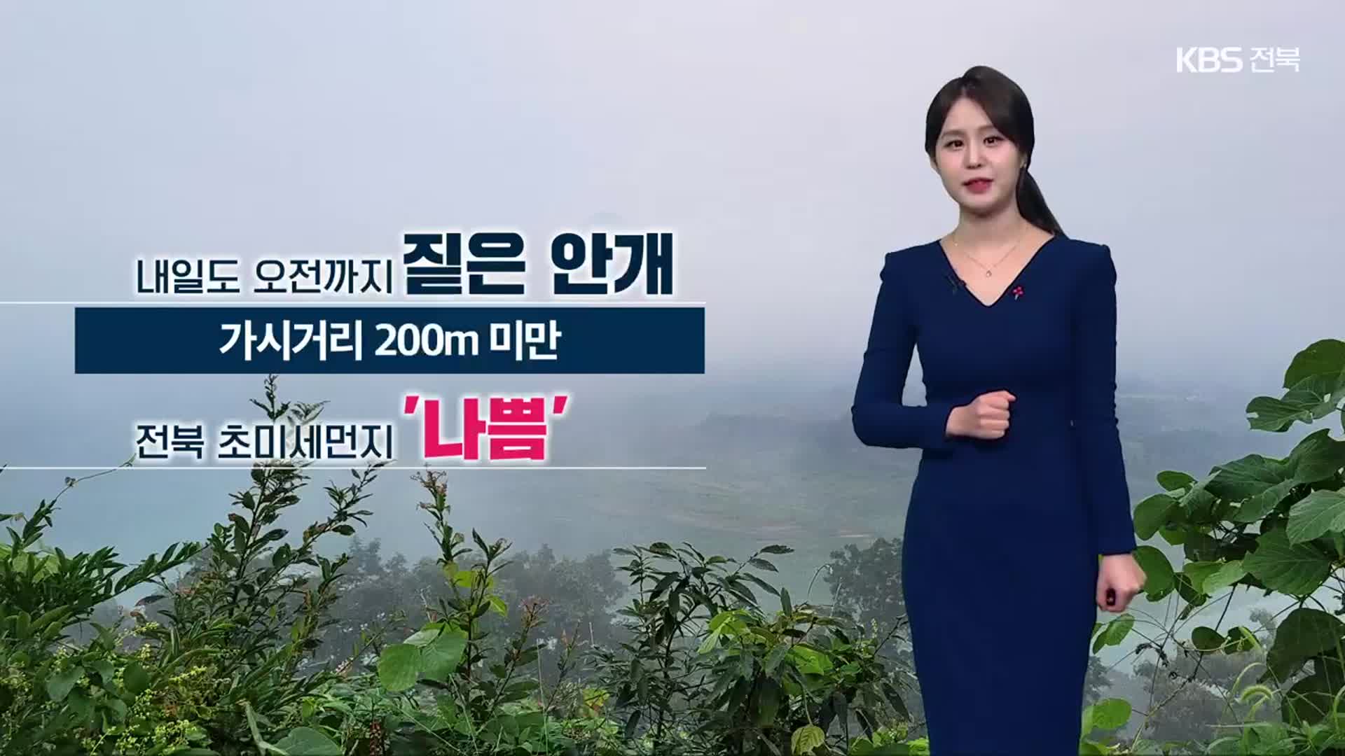 [날씨] 전북 내일 미세먼지·안개 심해…주말에 비와 눈 소식