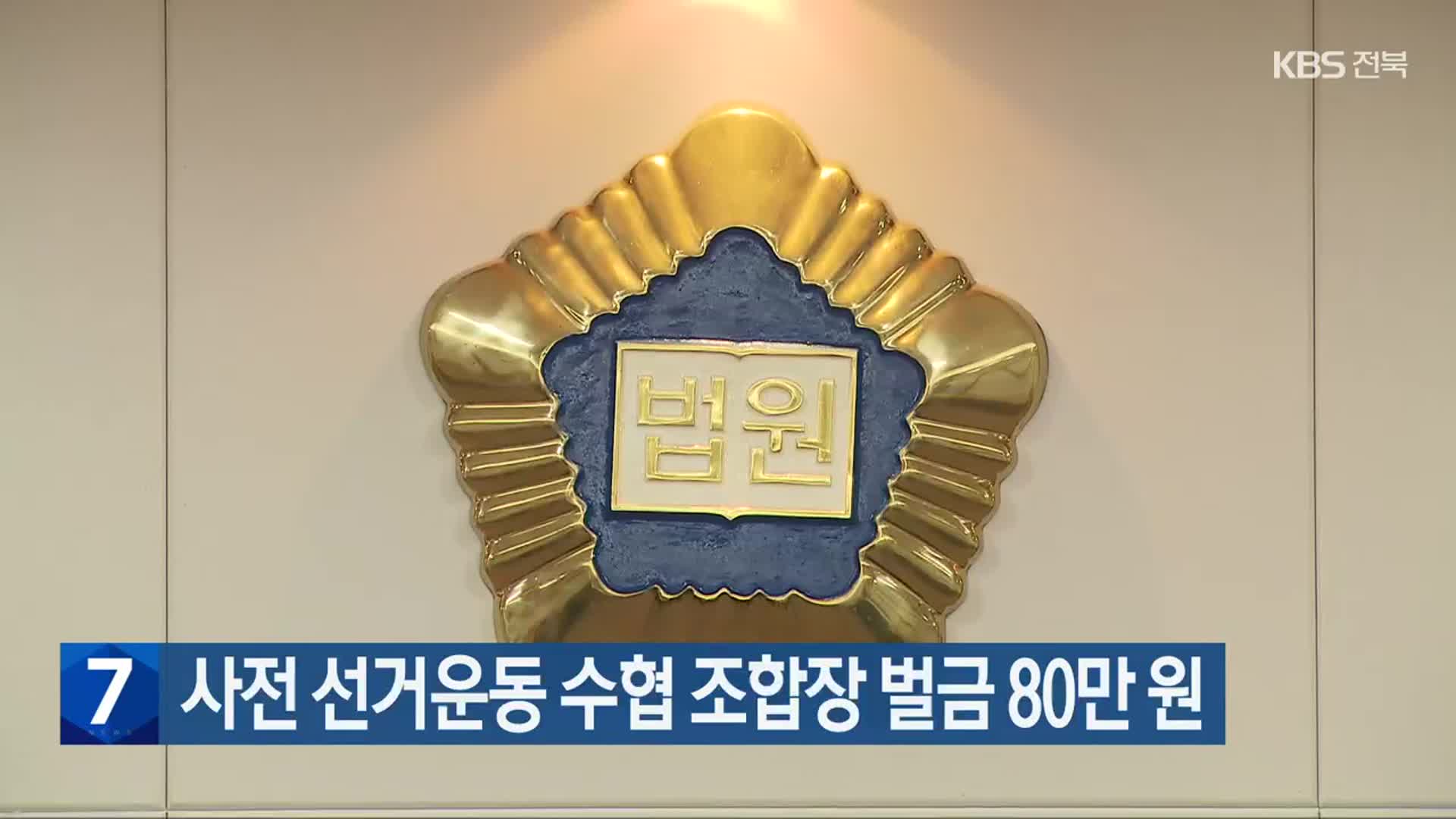 사전 선거운동 수협 조합장 벌금 80만 원