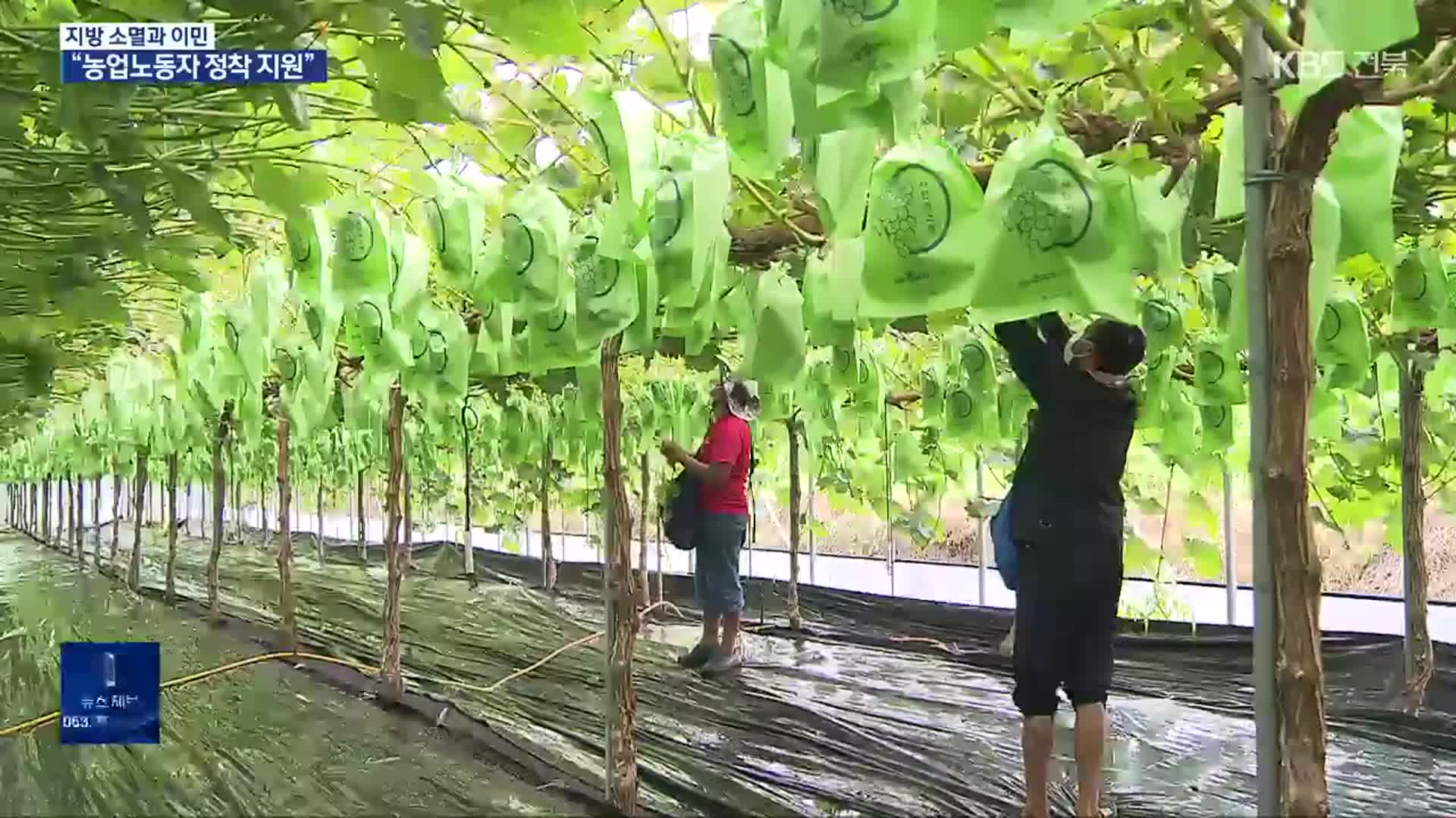 농촌 살리려면…“농업노동자 정착 지원”