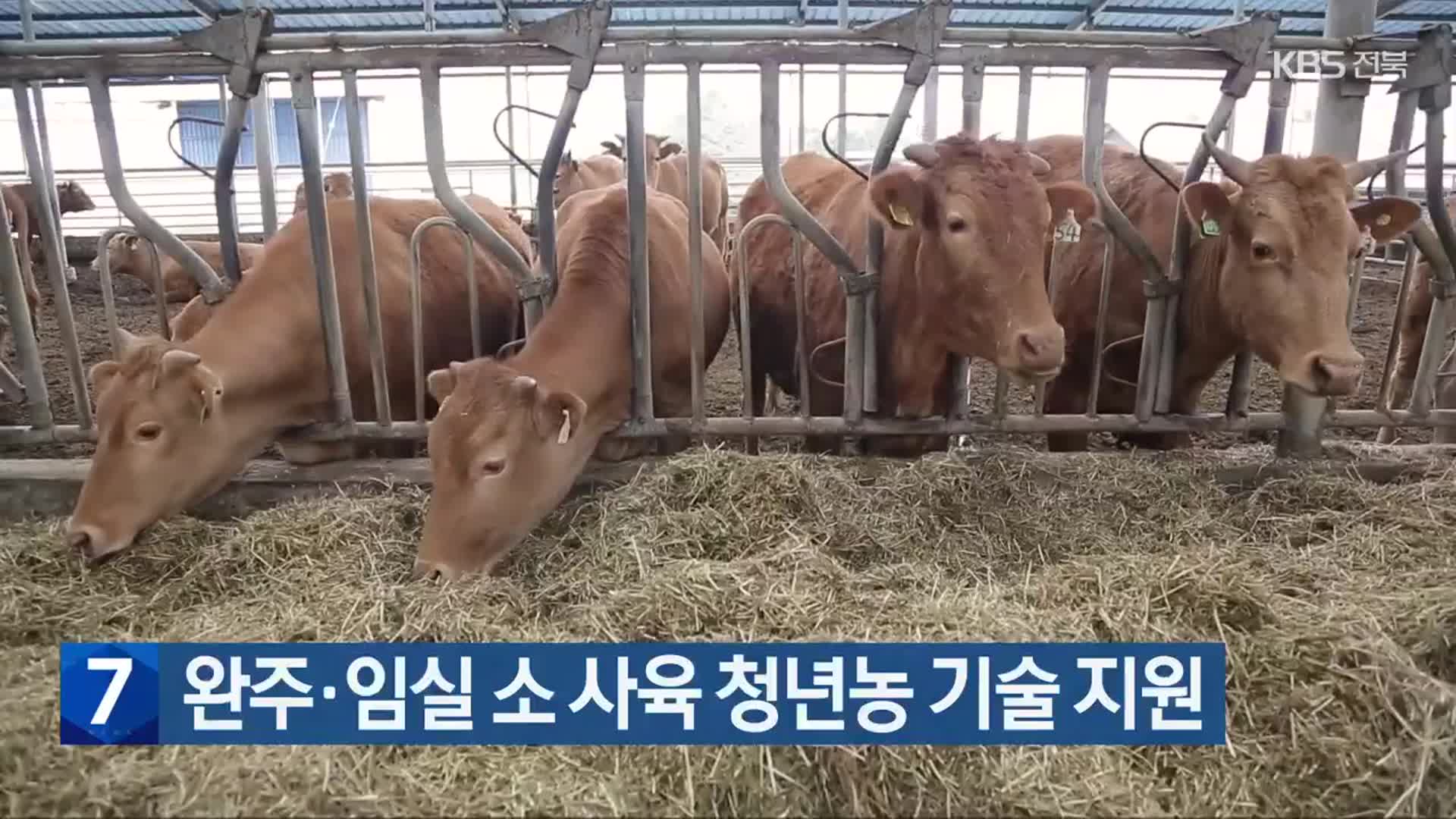 완주·임실 소 사육 청년농 기술 지원