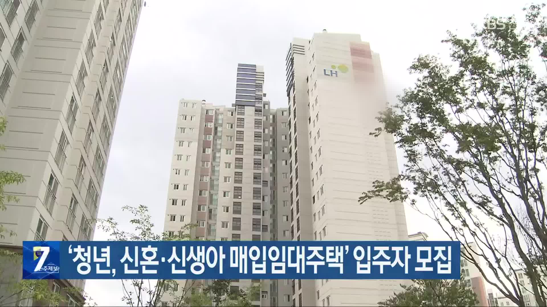 ‘청년, 신혼·신생아 매입임대주택’ 입주자 모집