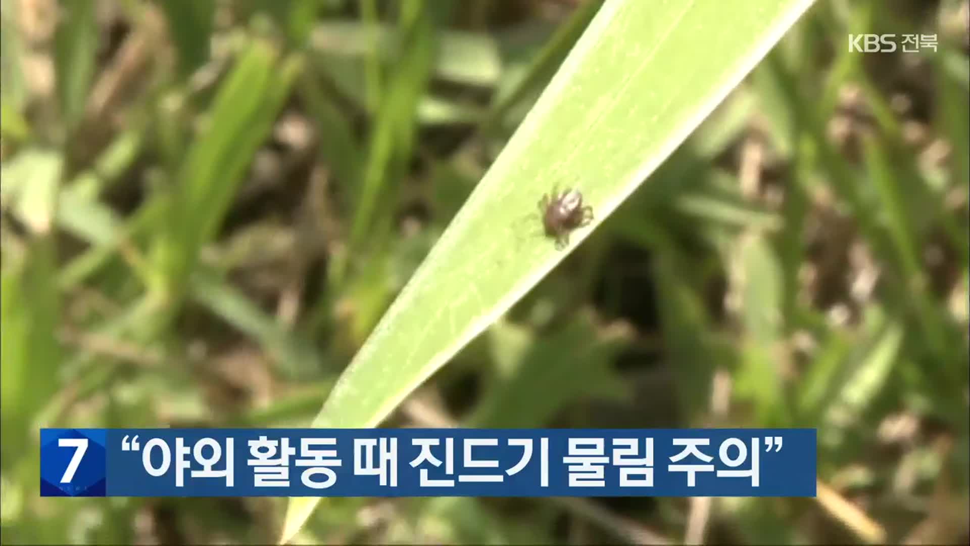 “야외 활동 때 진드기 물림 주의”