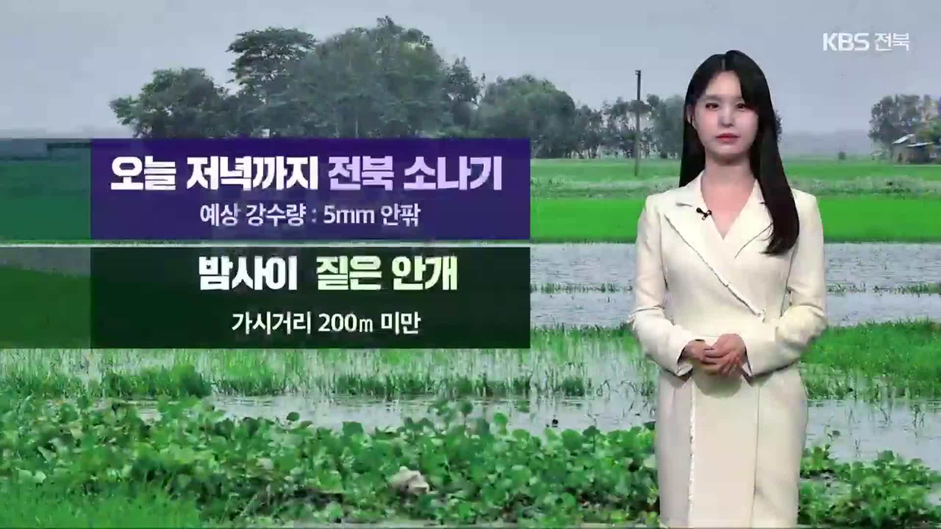 [날씨] 전북 밤사이 짙은 안개…내일 아침 쌀쌀·낮엔 더워