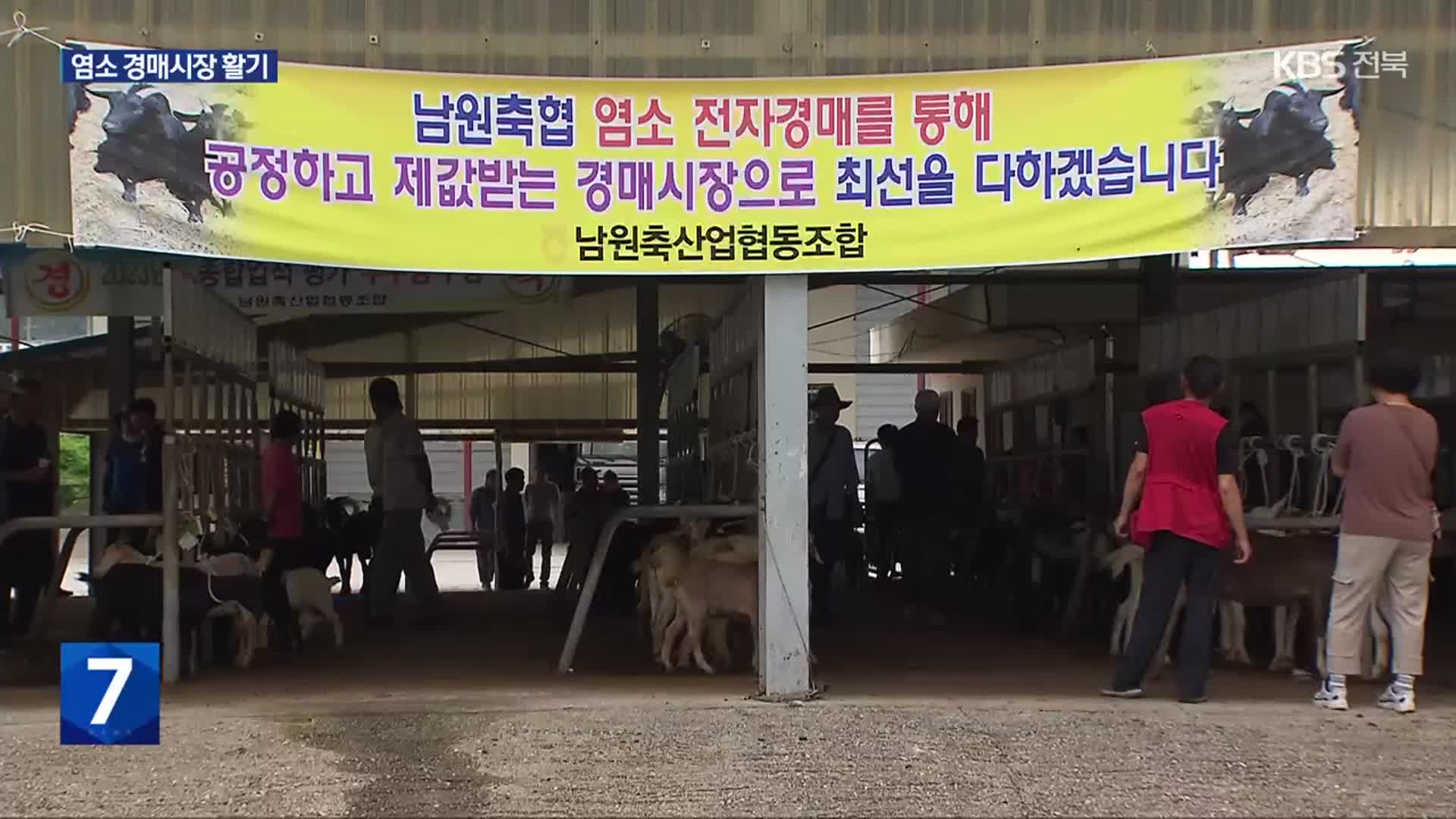 “개 식용 금지”…전북 첫 염소 경매시장 개장