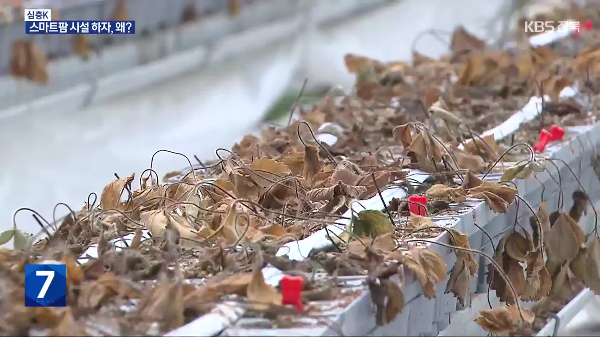 [심층K] 1,000억대 김제 스마트팜 부실 공사…빚더미 오른 청년농들