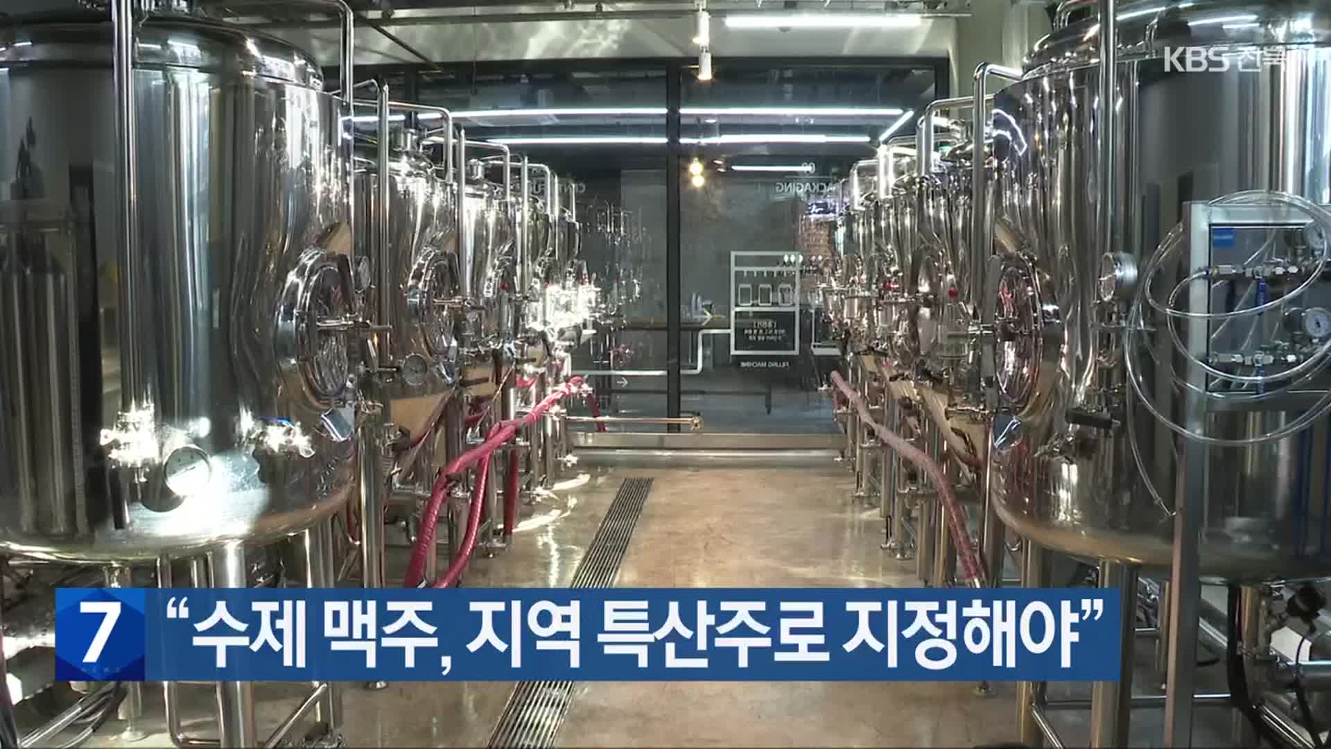 “수제 맥주, 지역 특산주로 지정해야”