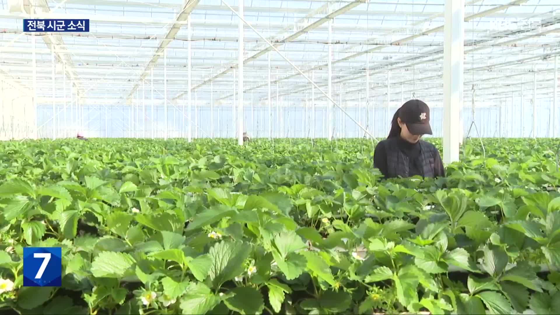 “청년 창업 살리는 ‘스마트팜’”…김제시, ‘청년 스마트팜 사업’ 선정