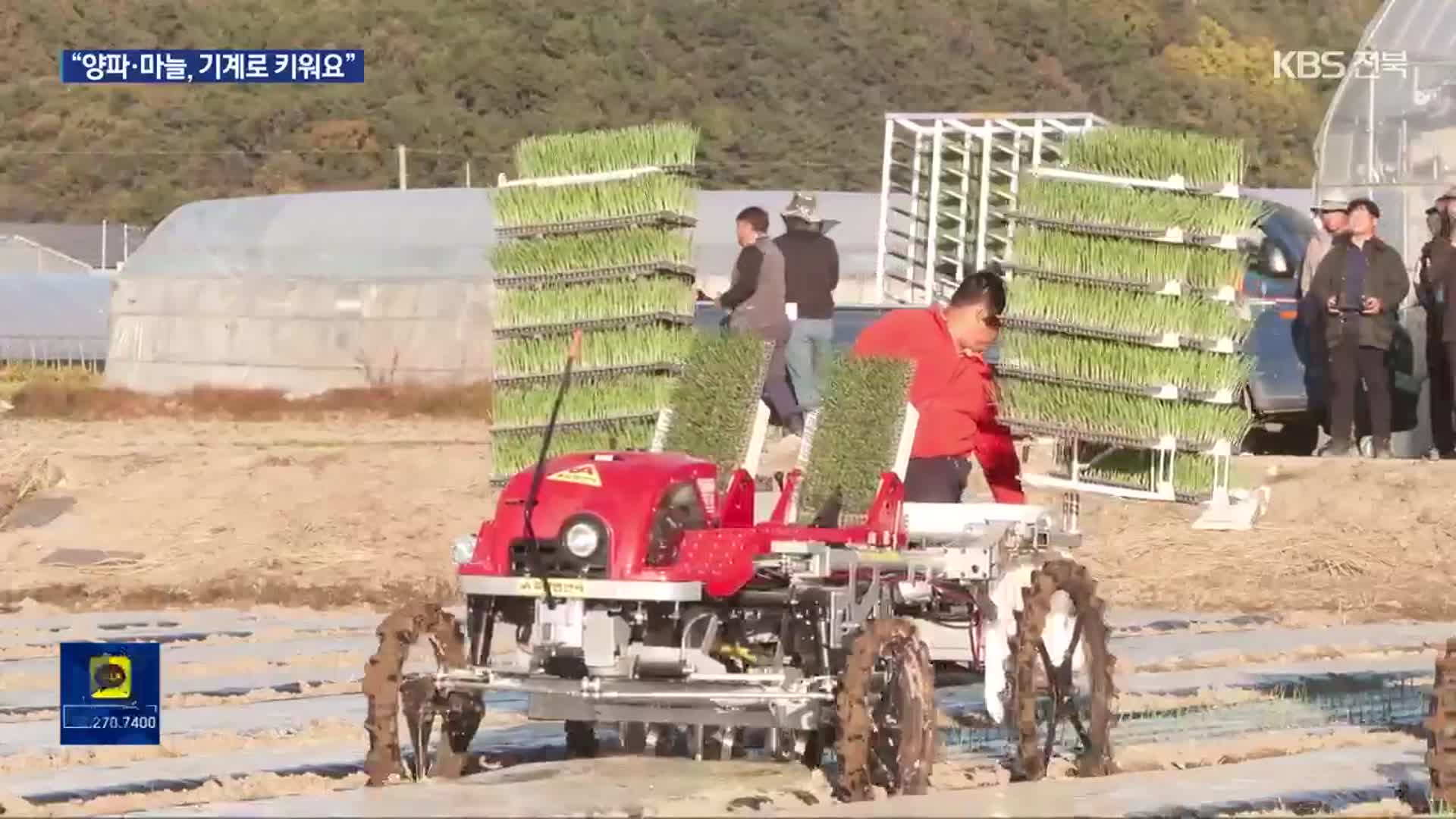 “파종부터 수확까지”…양파·마늘 전면 기계화 재배 성공