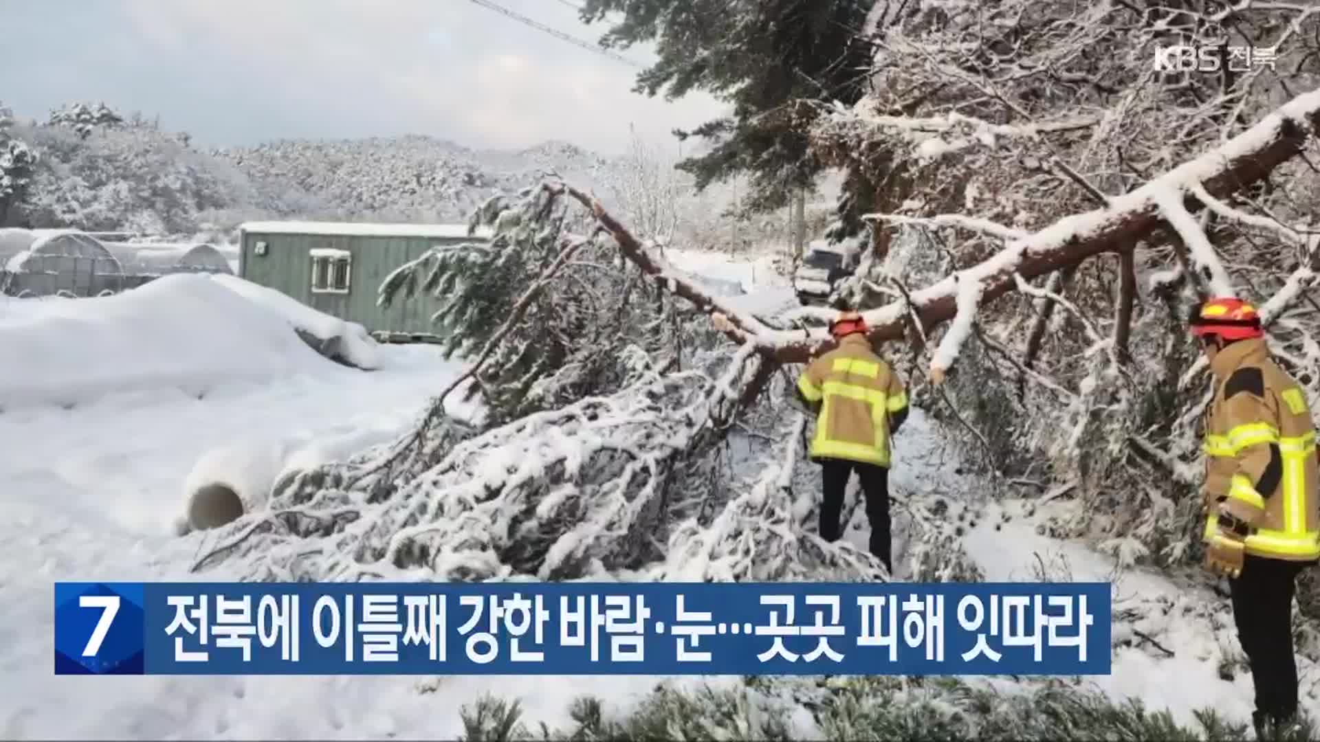 전북에 이틀째 강한 바람·눈…곳곳 피해 잇따라