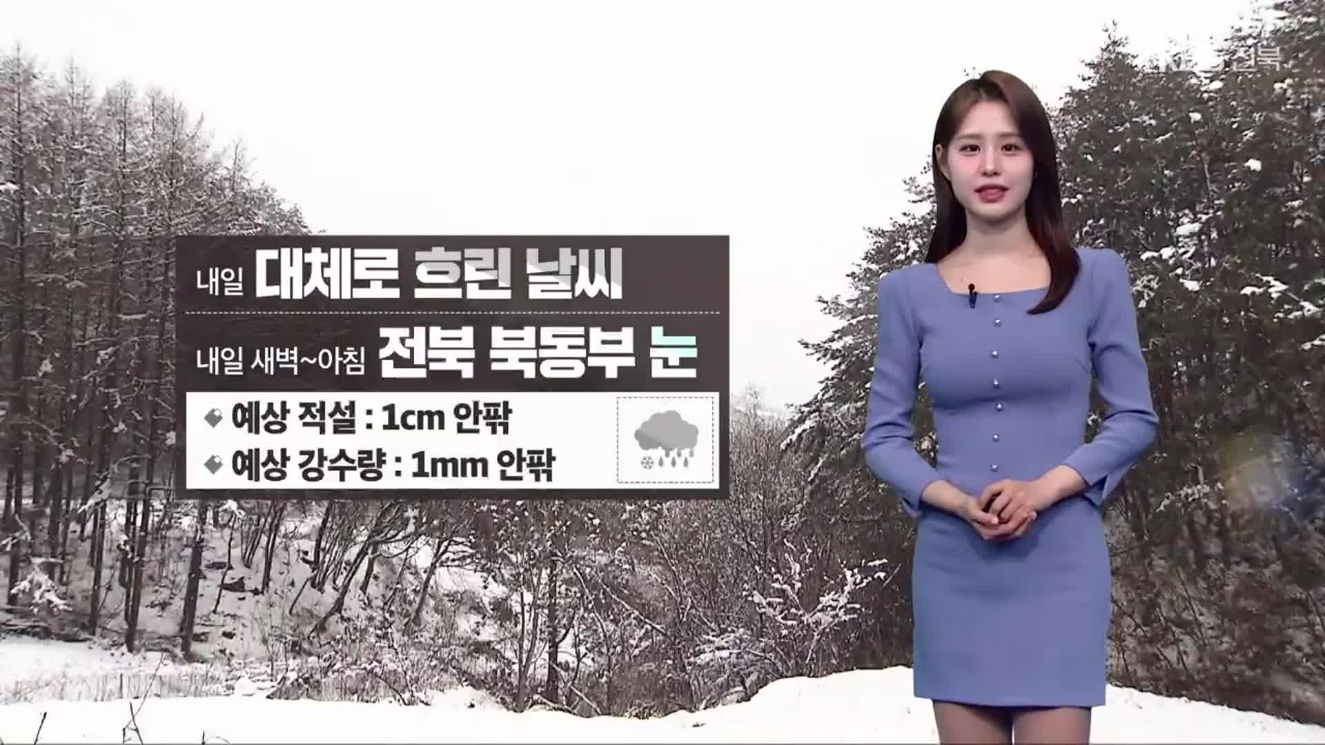 [날씨] 내일 전북 북동부 1cm 눈…평년보다 포근해