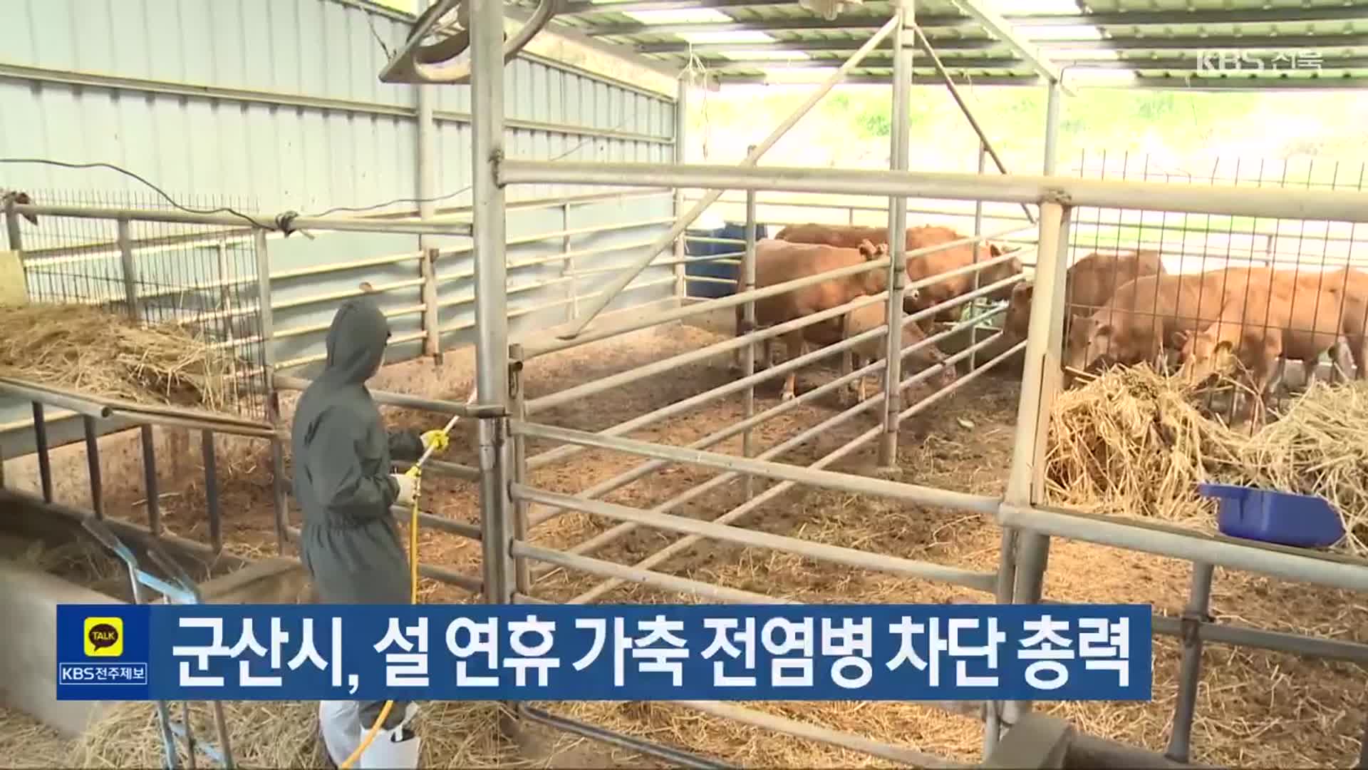 군산시, 설 연휴 가축 전염병 차단 총력