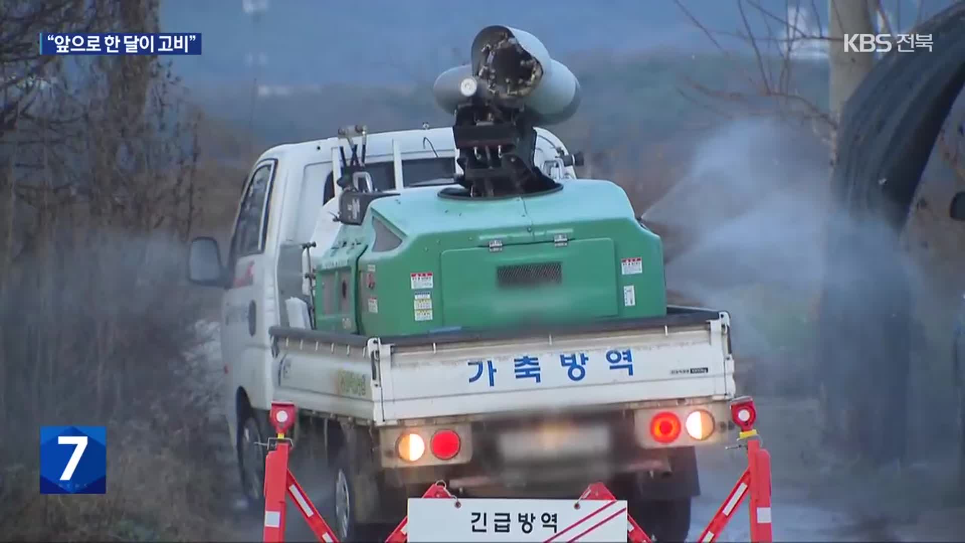 조류 인플루엔자, 전북 최다…“앞으로 한 달이 중대 고비”