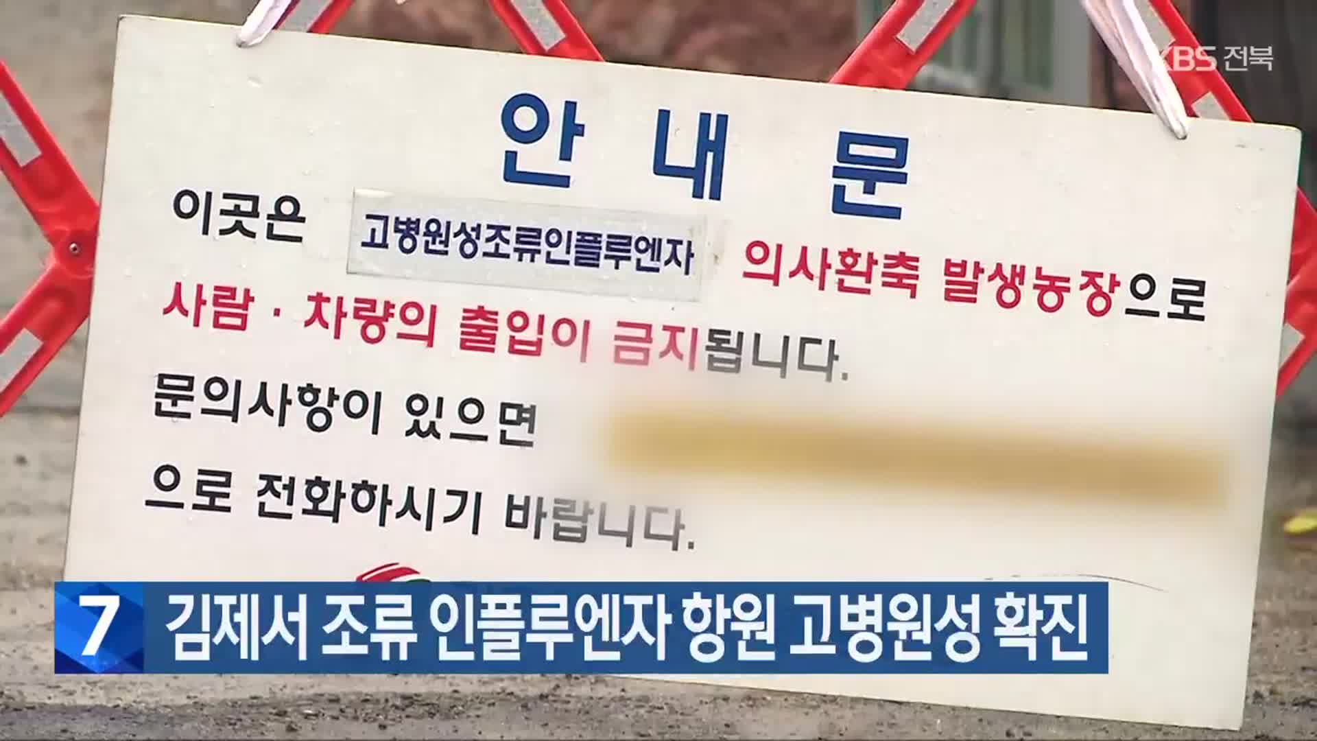 김제서 조류 인플루엔자 항원 고병원성 확진