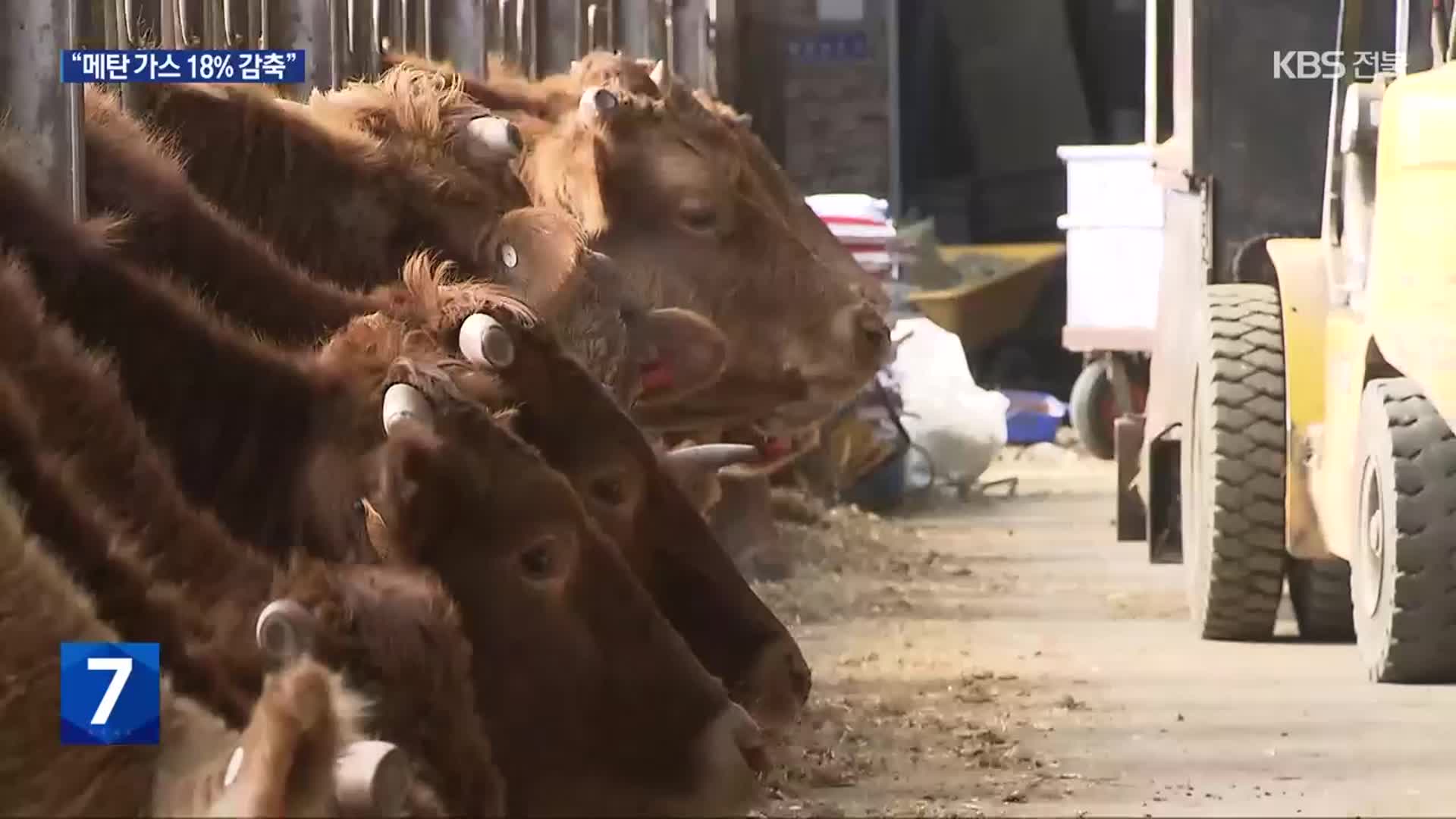 저(低)메탄 사료 소재 개발…기후 위기 완화하나