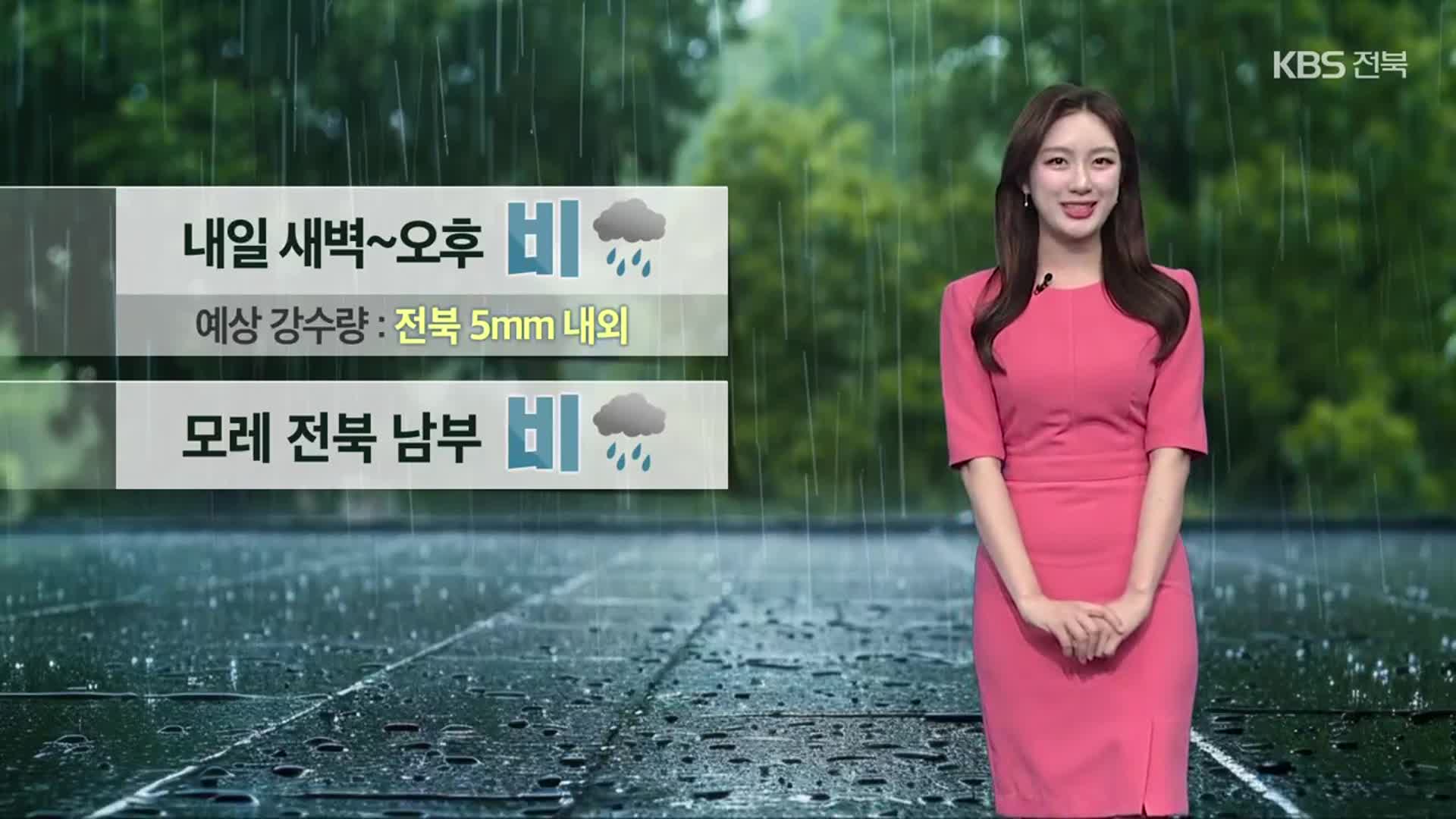 [날씨] 전북 내일 새벽~오후 5mm 안팎 비…서해안 짙은 안개