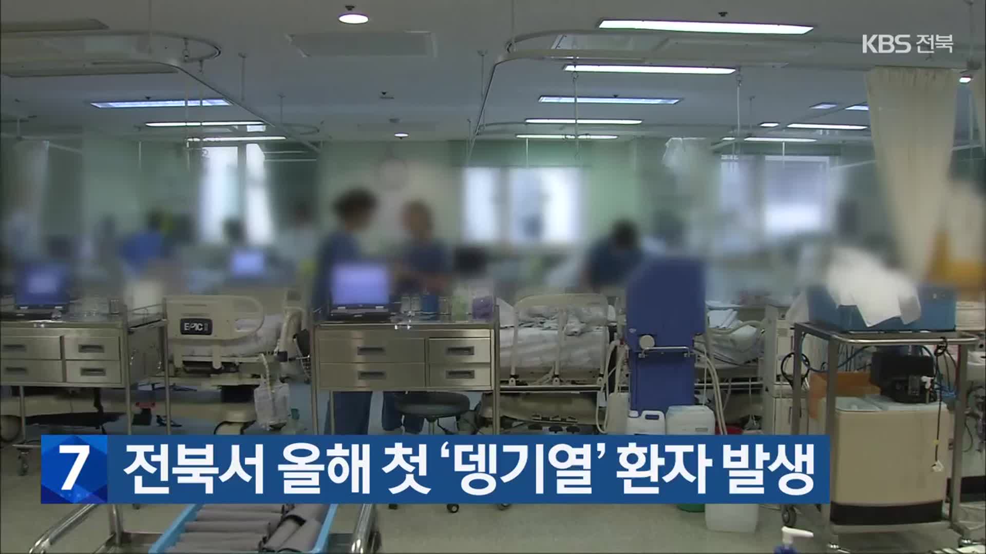전북서 올해 첫 ‘뎅기열’ 환자 발생