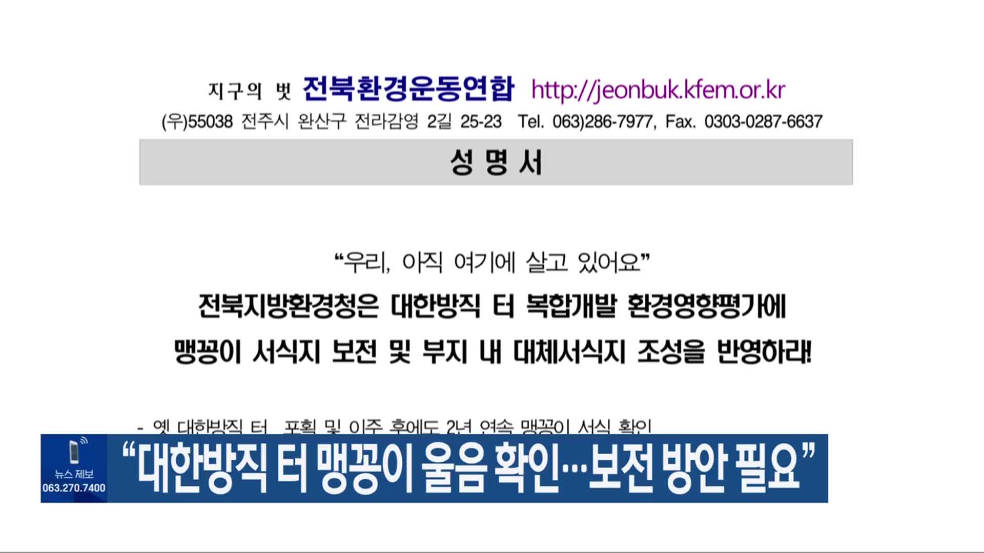 “대한방직 터 맹꽁이 울음 확인…보전 방안 필요”