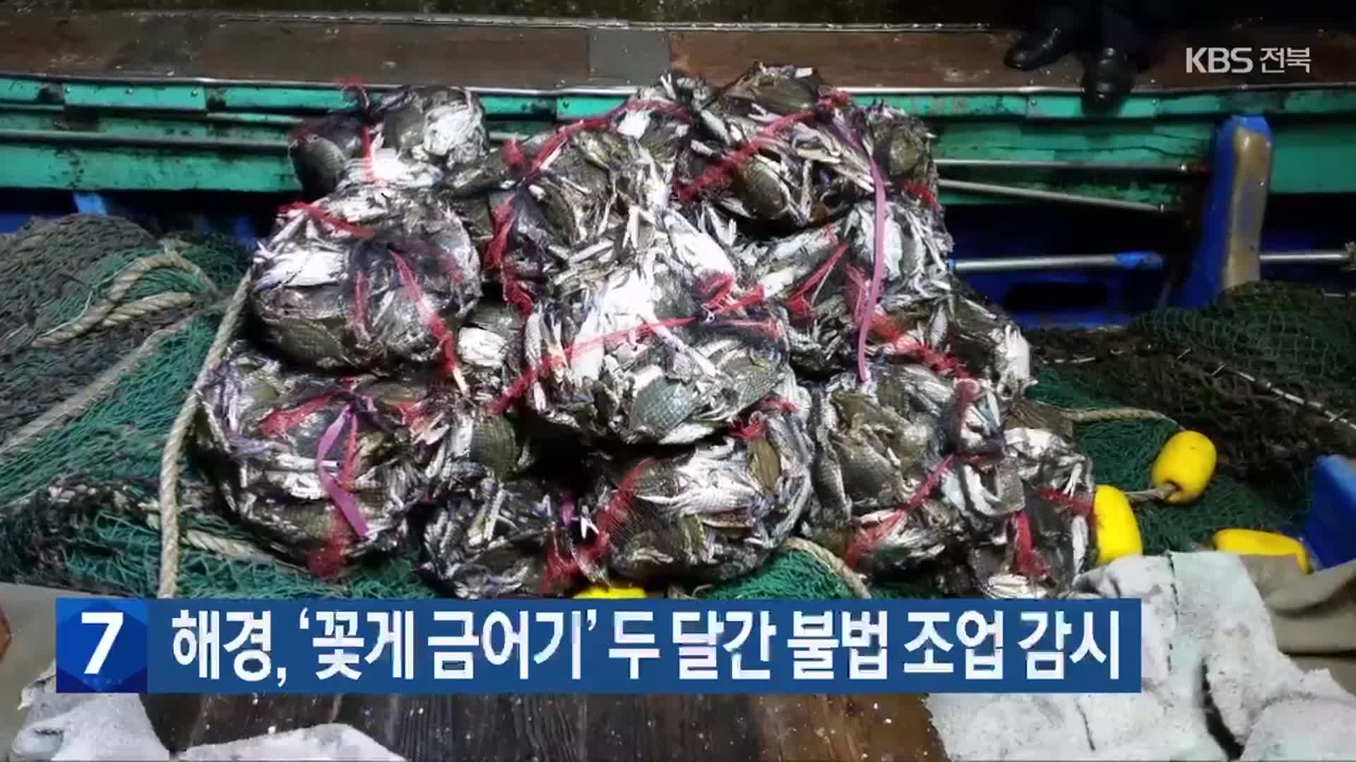 해경, ‘꽃게 금어기’ 두 달간 불법 조업 감시