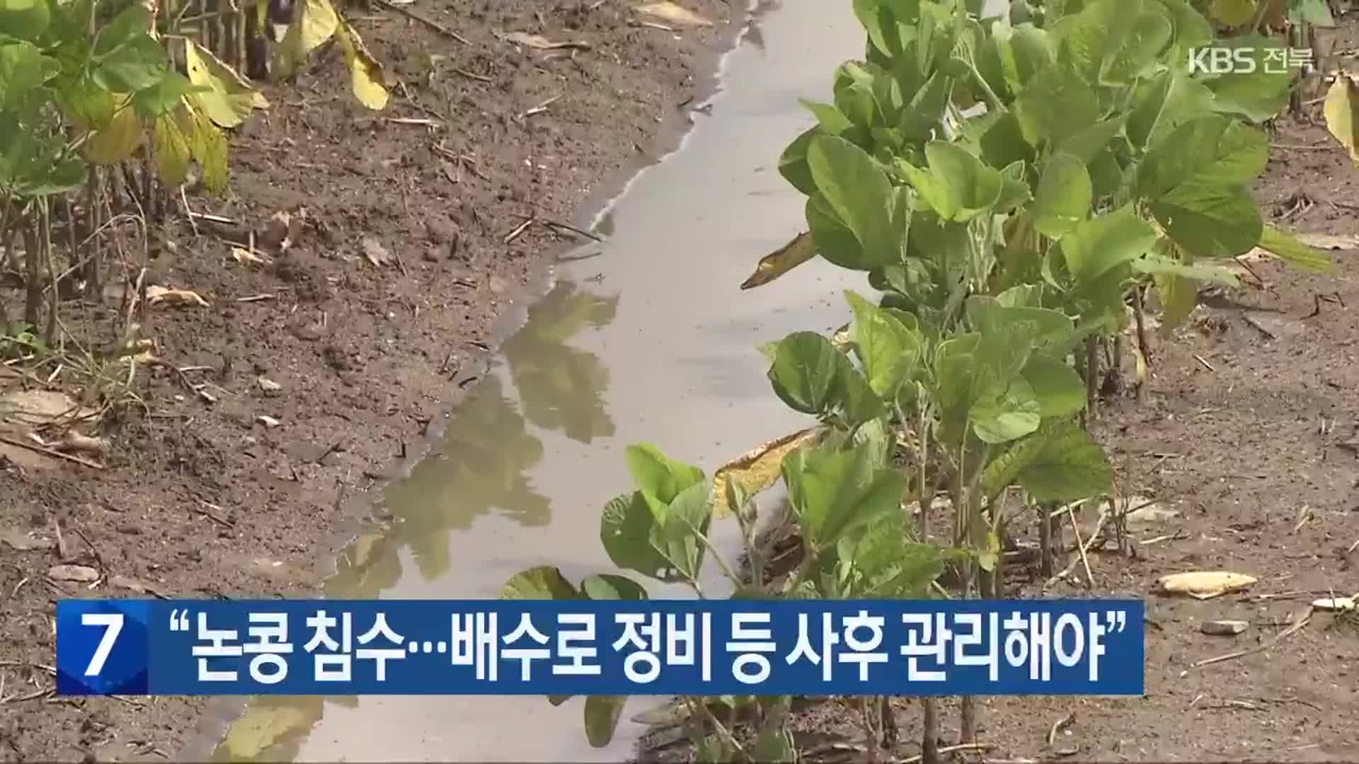 “논콩 침수…배수로 정비 등 사후 관리해야”