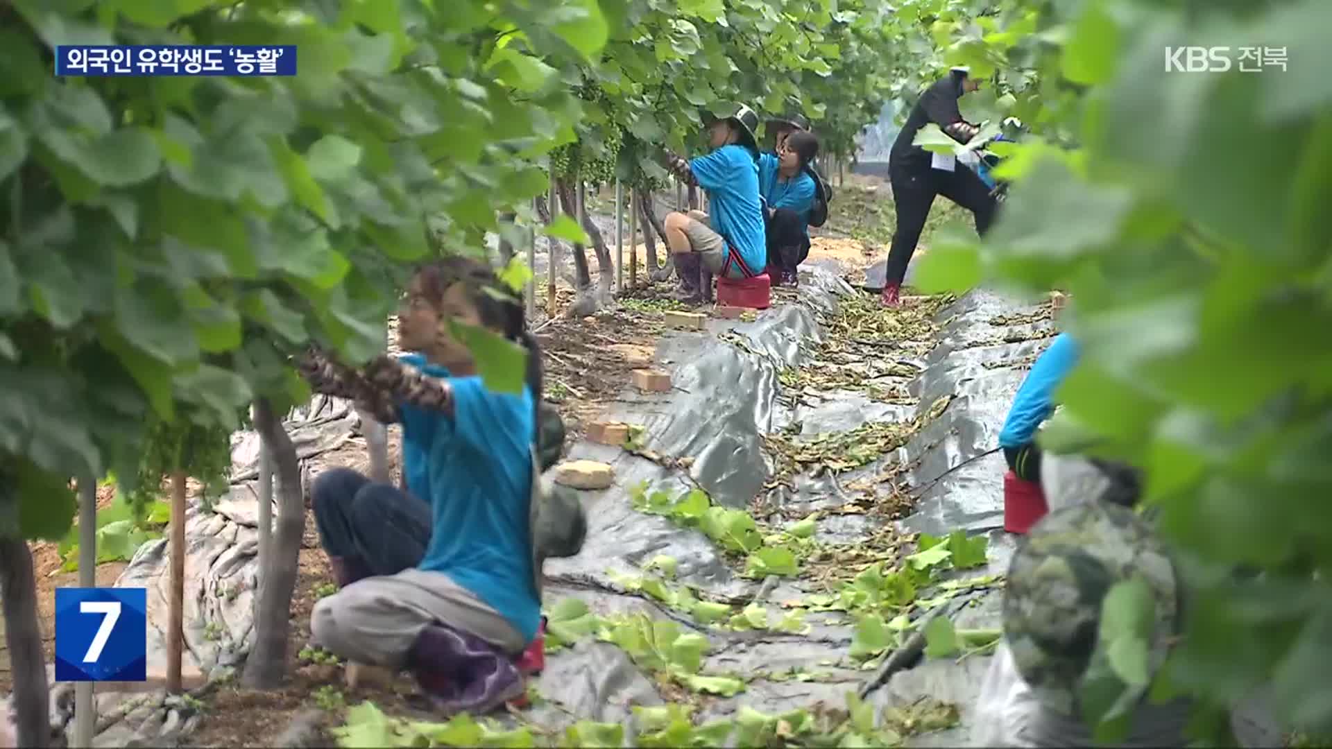 “일손 돕고 한국 배우고”…외국인 유학생 첫 ‘농활’