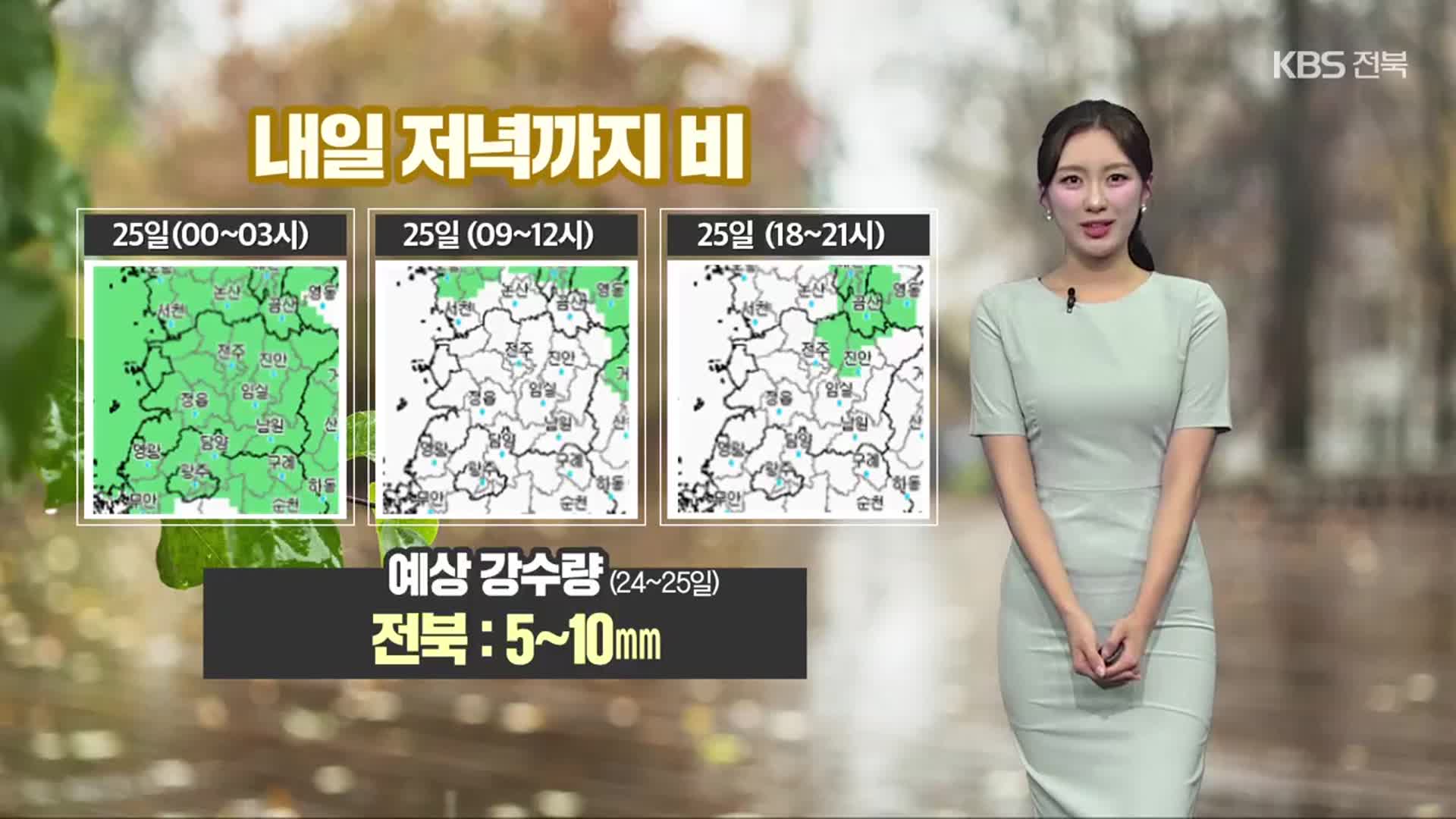[날씨] 전북 내일 저녁까지 5~10mm 장맛비…낮 더위 주춤