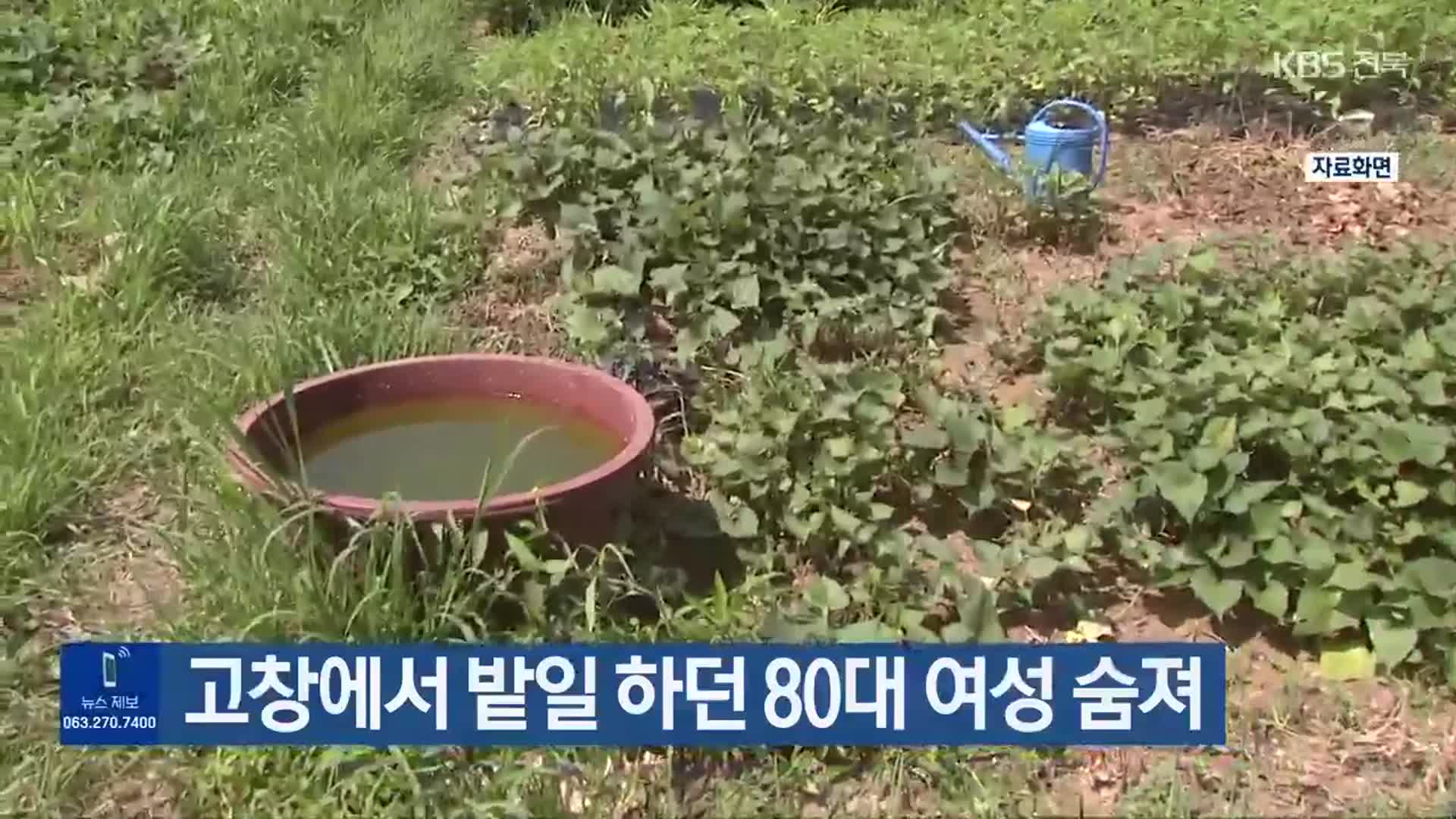 고창에서 밭일 하던 80대 여성 숨져